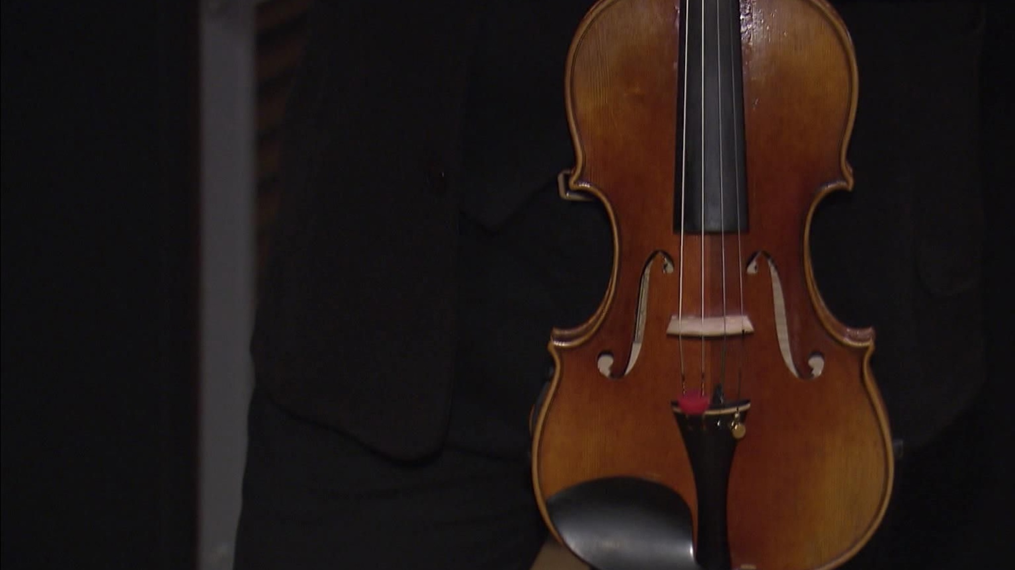 В Концертном зале Чайковского выступил оркестр Musica Viva