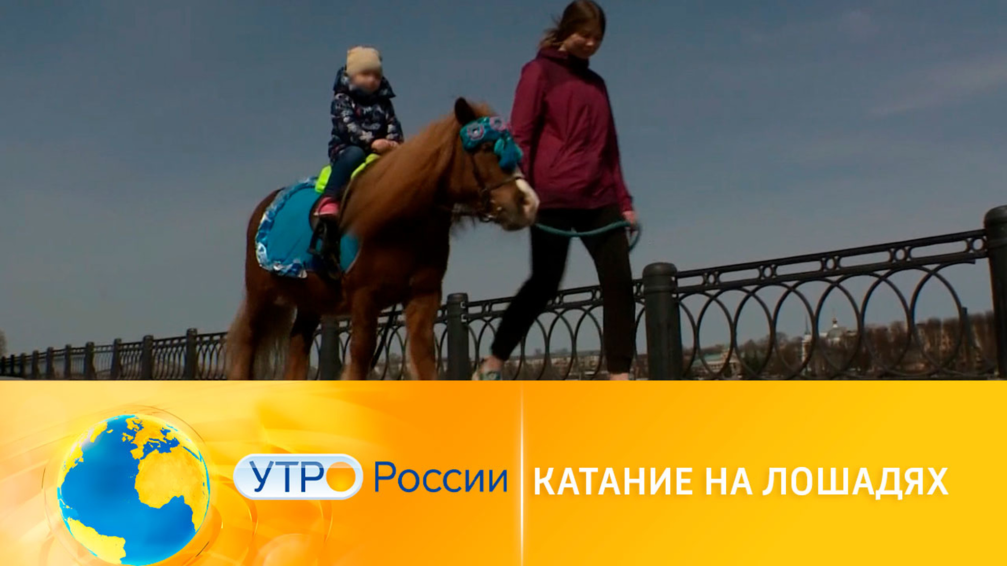 Катание на лошадях: как защитить себя и детей