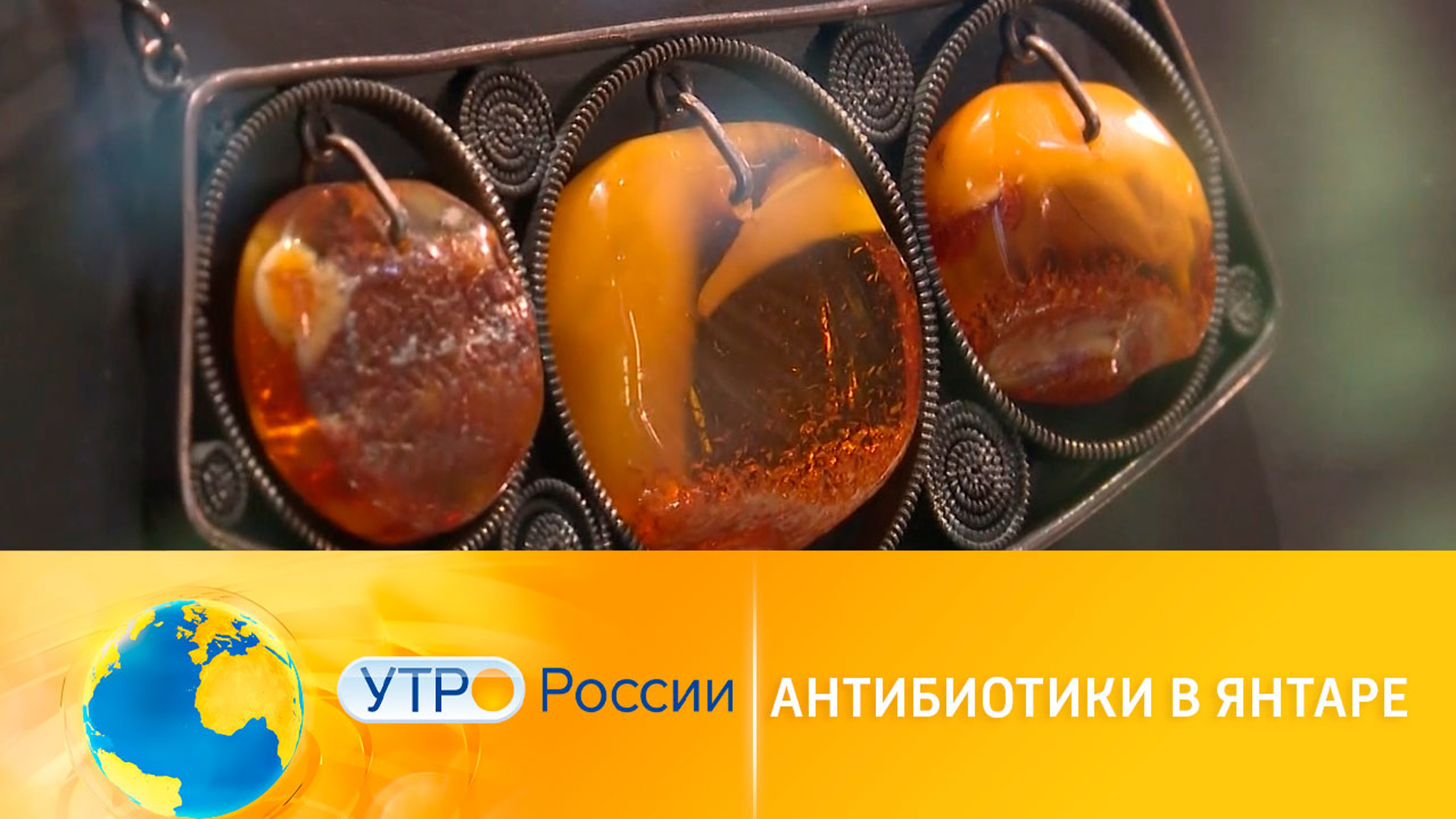 Ученые нашли антибиотики в янтаре