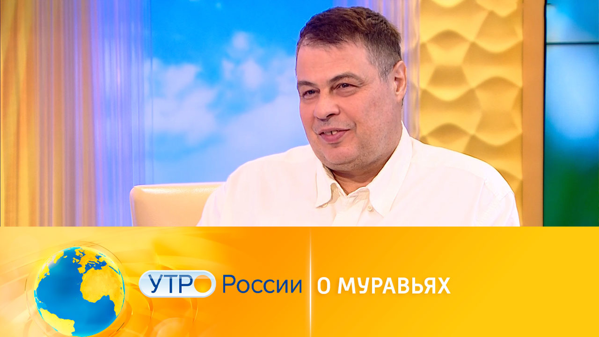 Интересные факты о муравьях