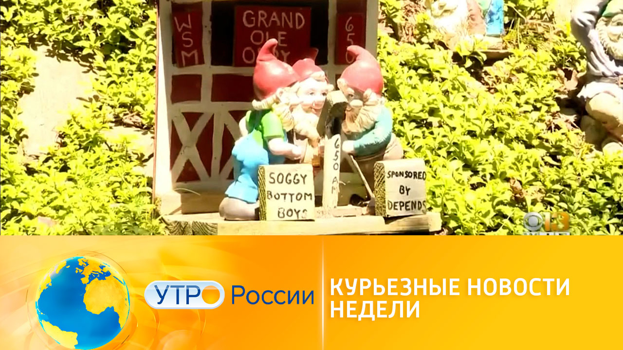 Курьезные новости недели