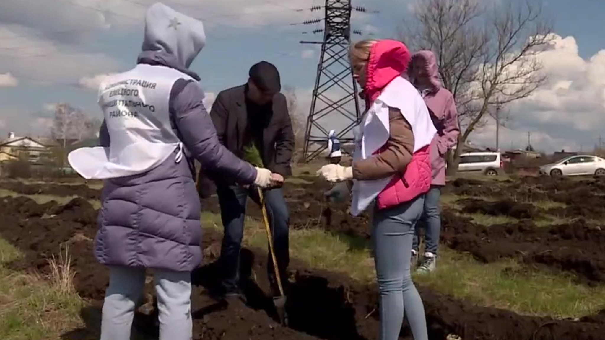 В Елецком районе высадили пять тысяч сосен и ясеней