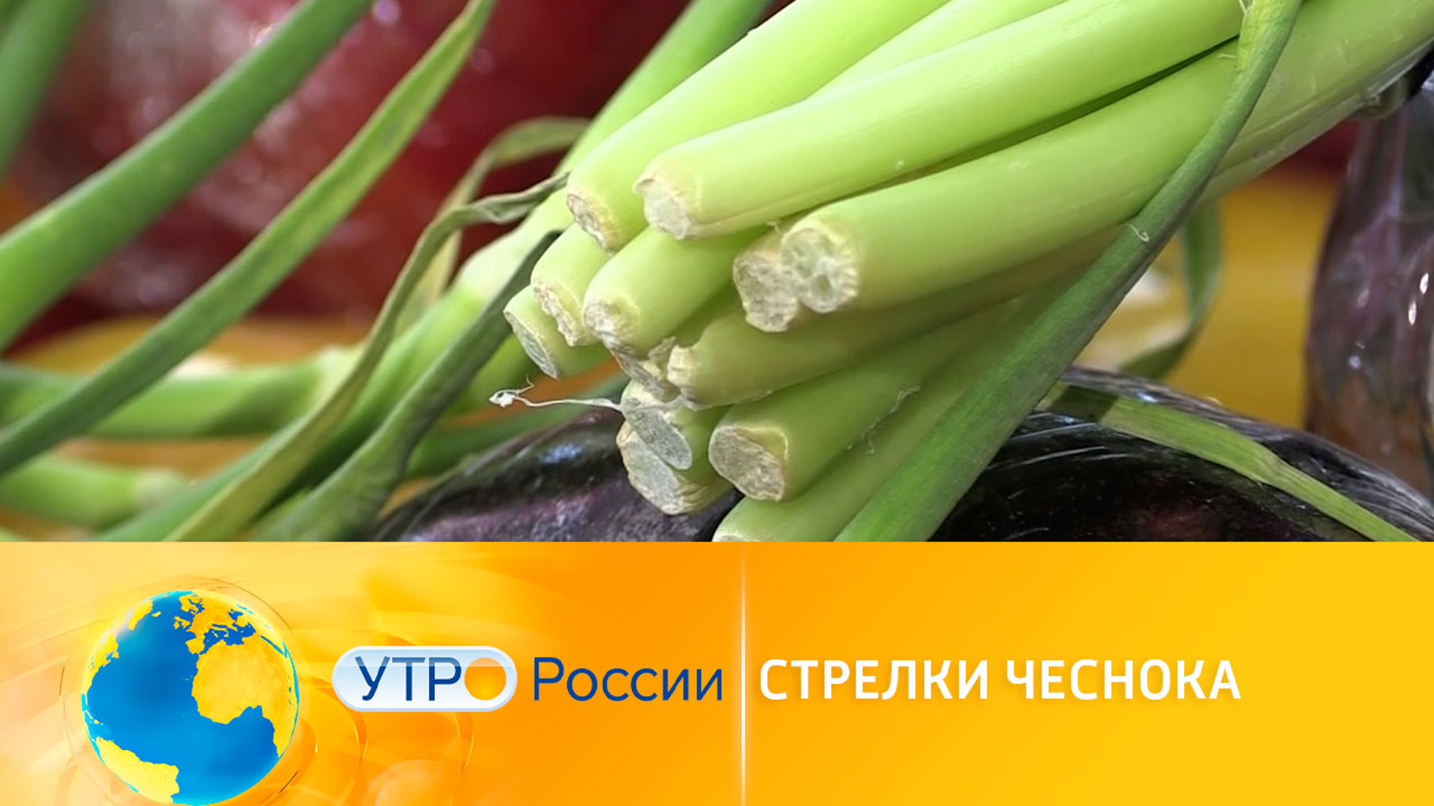Стрелки чеснока: сорняк или источник здоровья