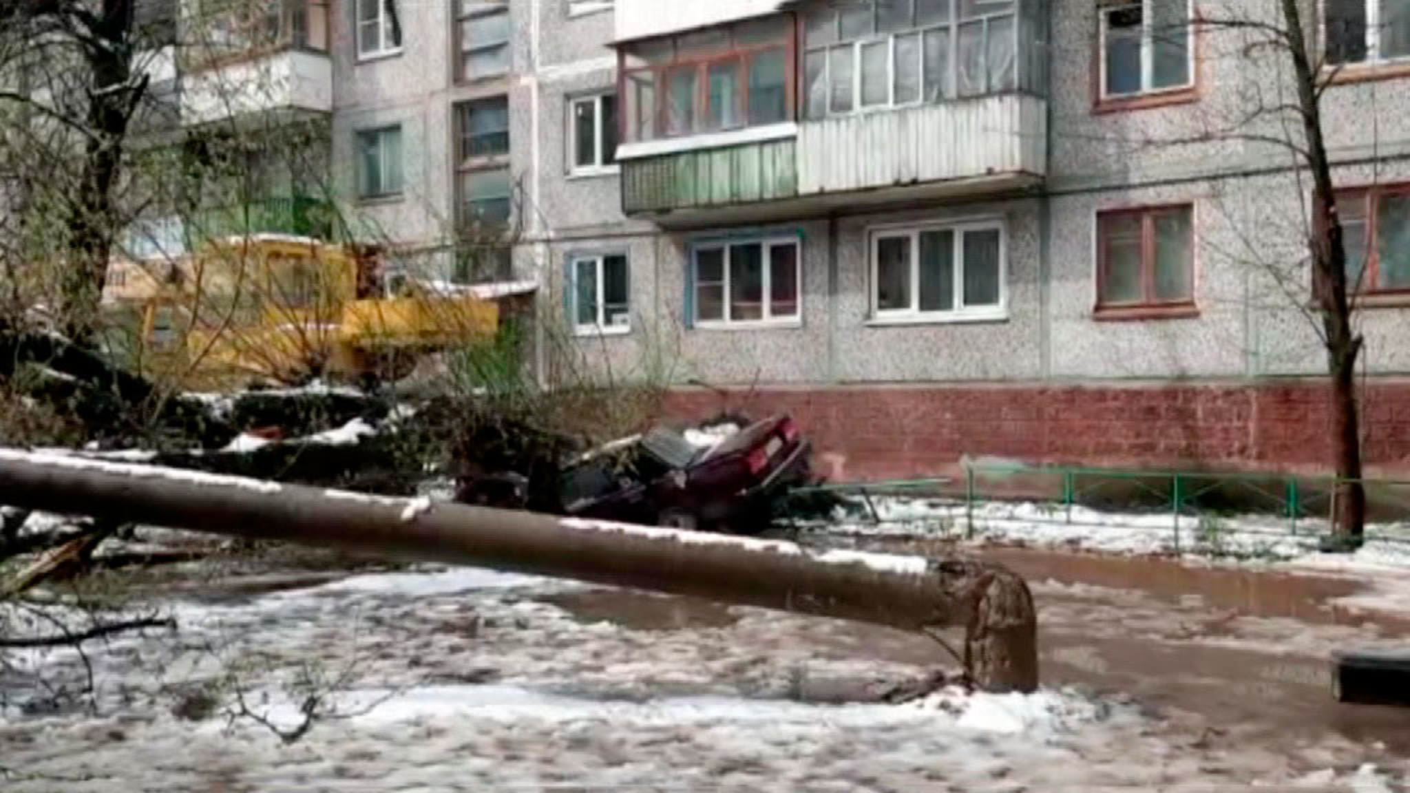 Снегопад и ветер привели к падению около 80 деревьев в Тульской области