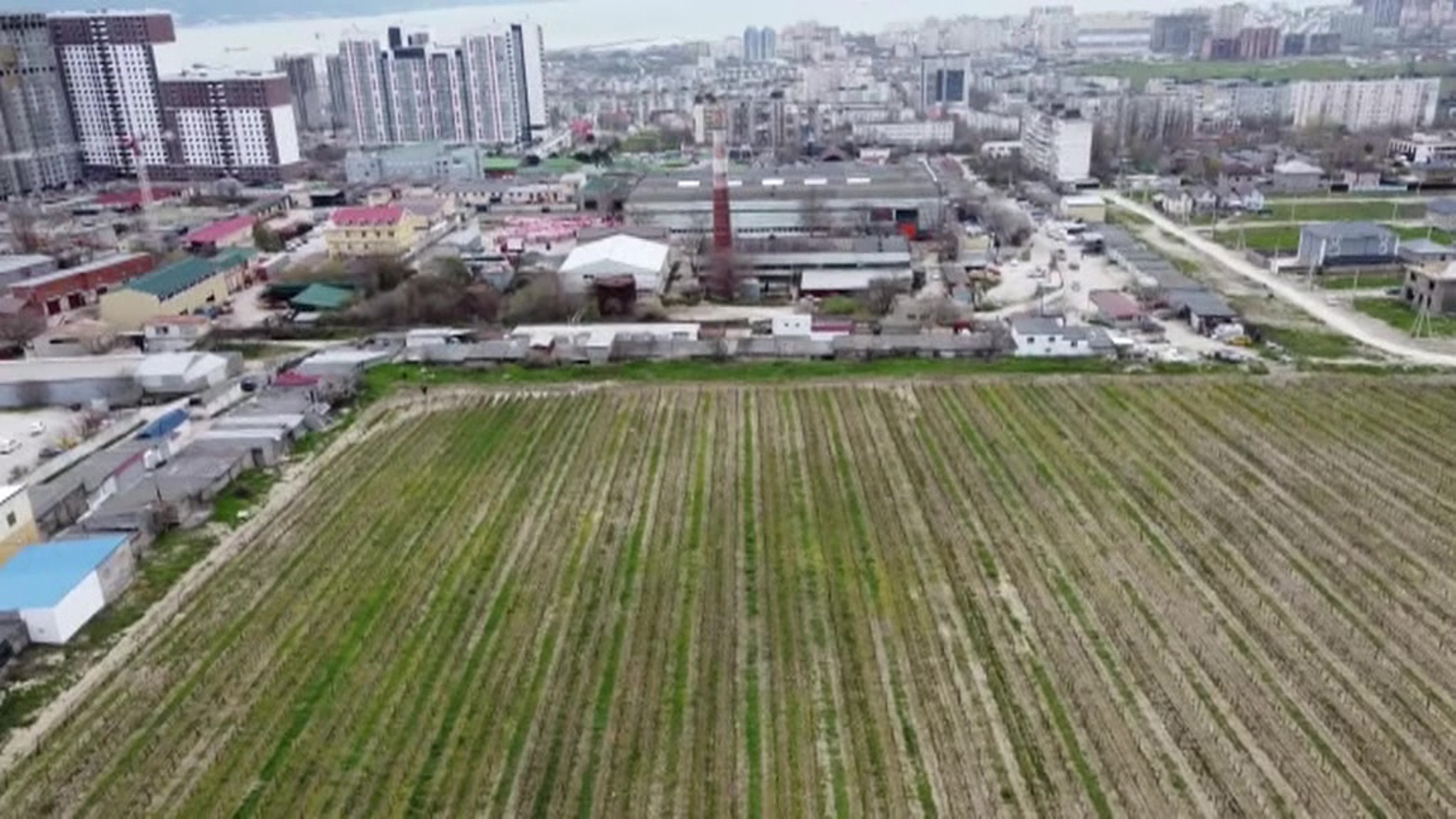 В Краснодарском крае запретят застройку сельхозземель