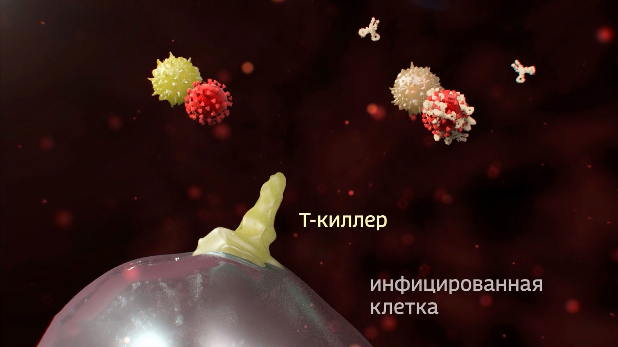 Антитела не показатель: в России разработали еще один тест