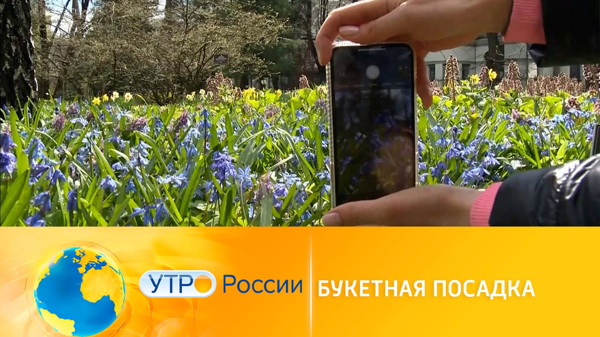 Букетная посадка: современный метод озеленения