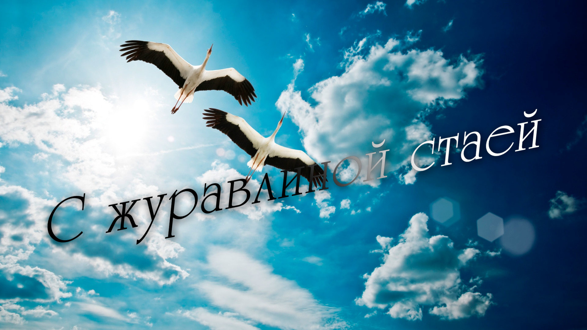 С журавлиной стаей. Судьба Мастера