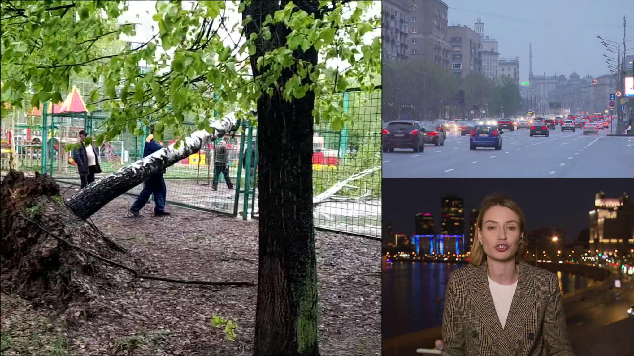 Погода в Москве и области: падали деревья, остановки, щиты