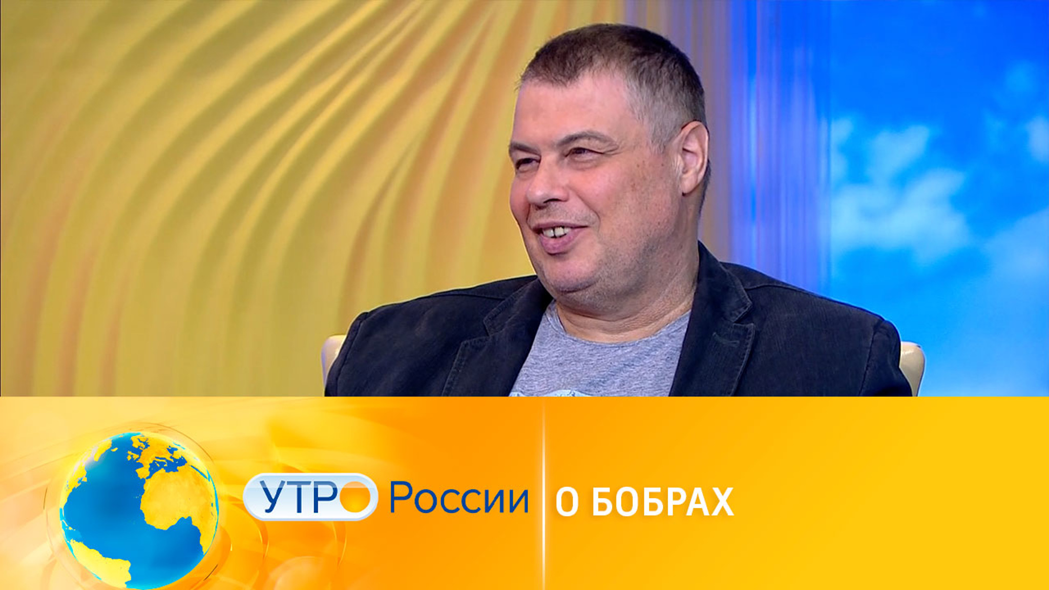 В Канаде бобры оставили целый город без интернета