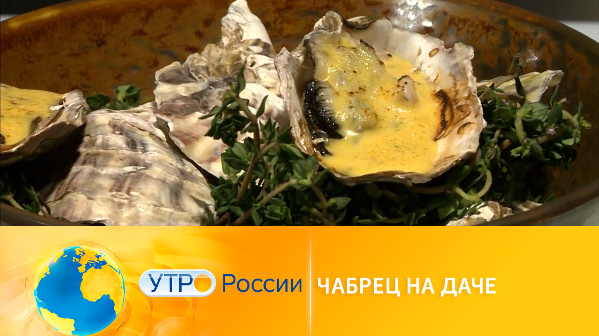Чабрец: полезные свойства
