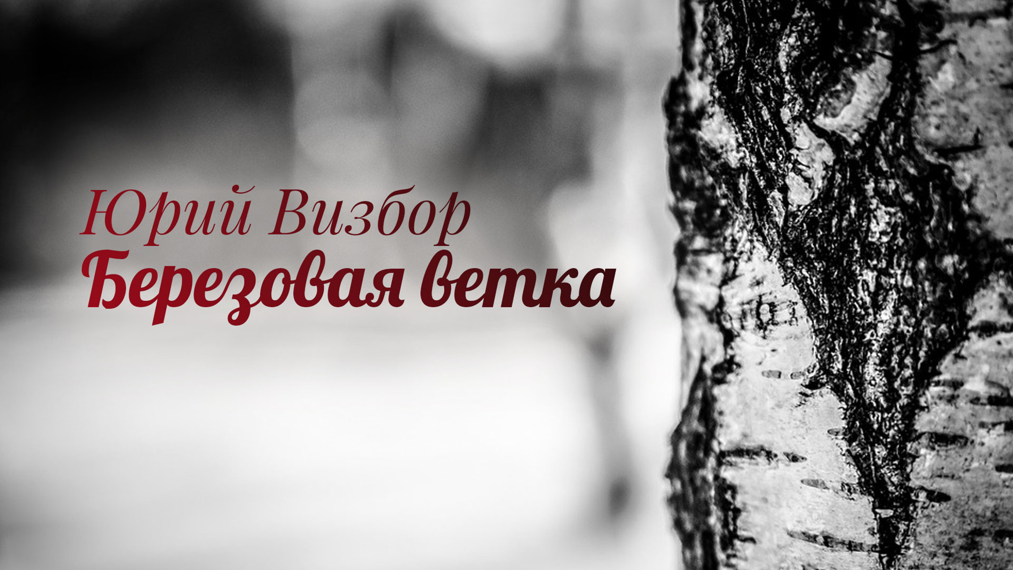 Юрий Визбор. Березовая ветка
