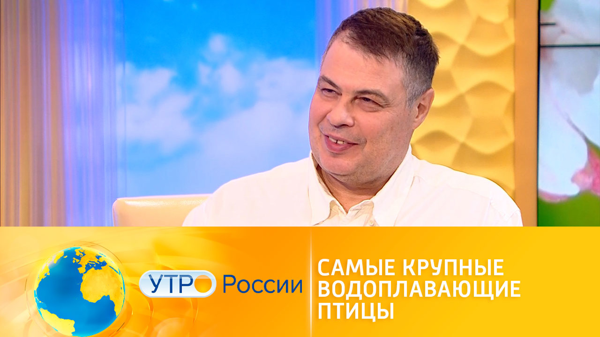 Символ любви и счастья: вся правда о лебедях от Ивана Затевахина