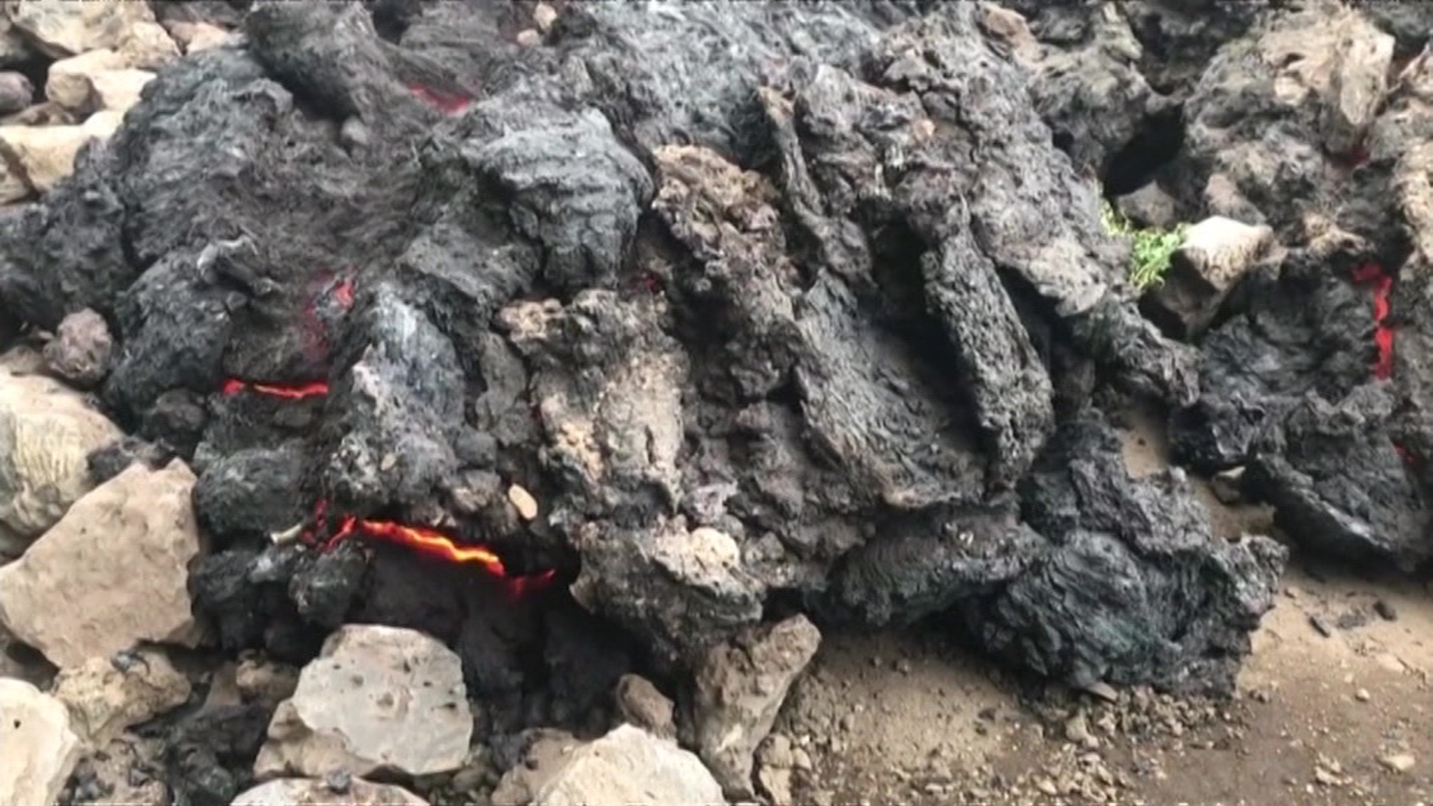 Скандал на учениях НАТО, трагедия в Конго и аресты после неудачной шутки