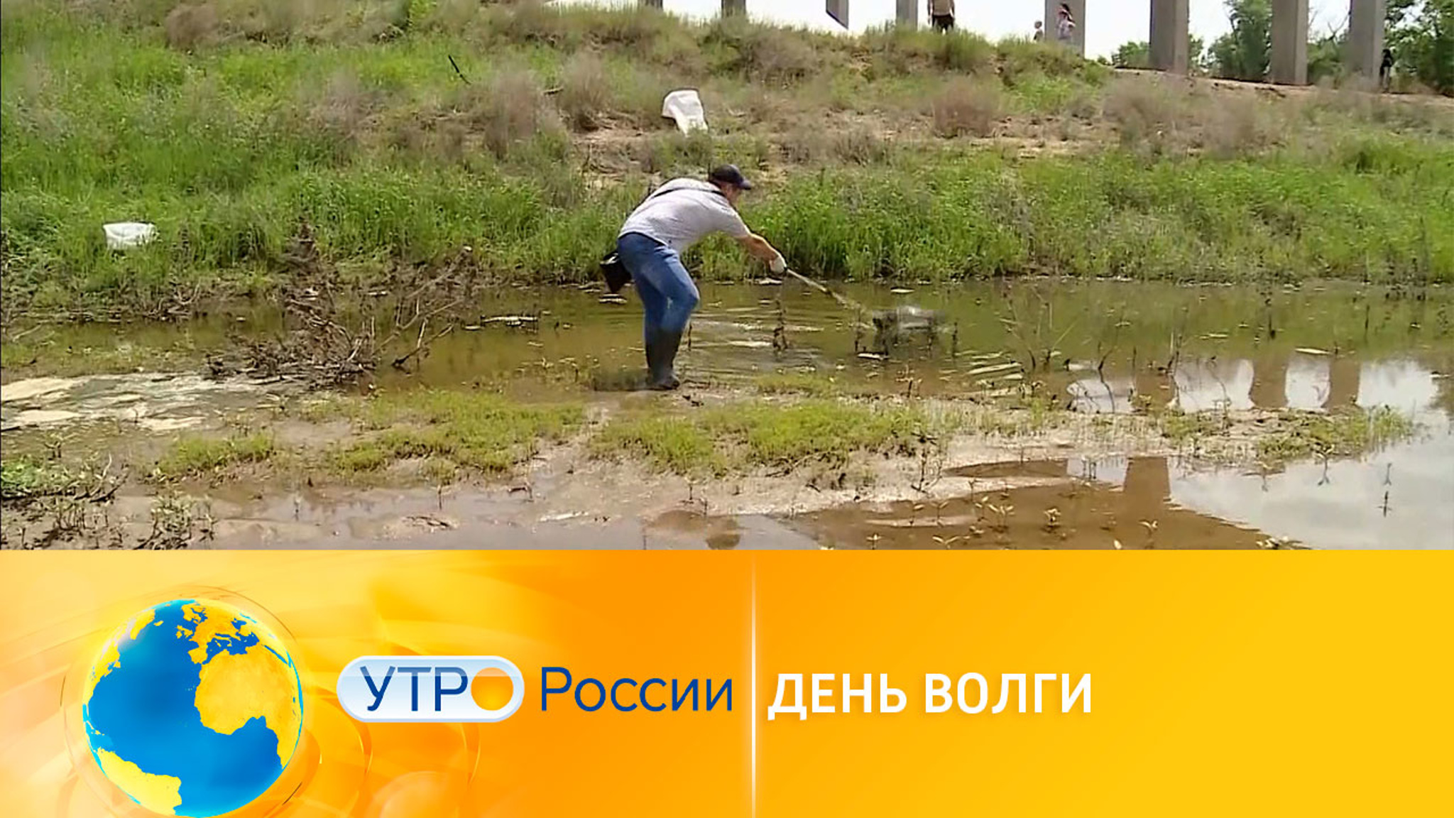 Нацпроект "Экология": спасение Волги