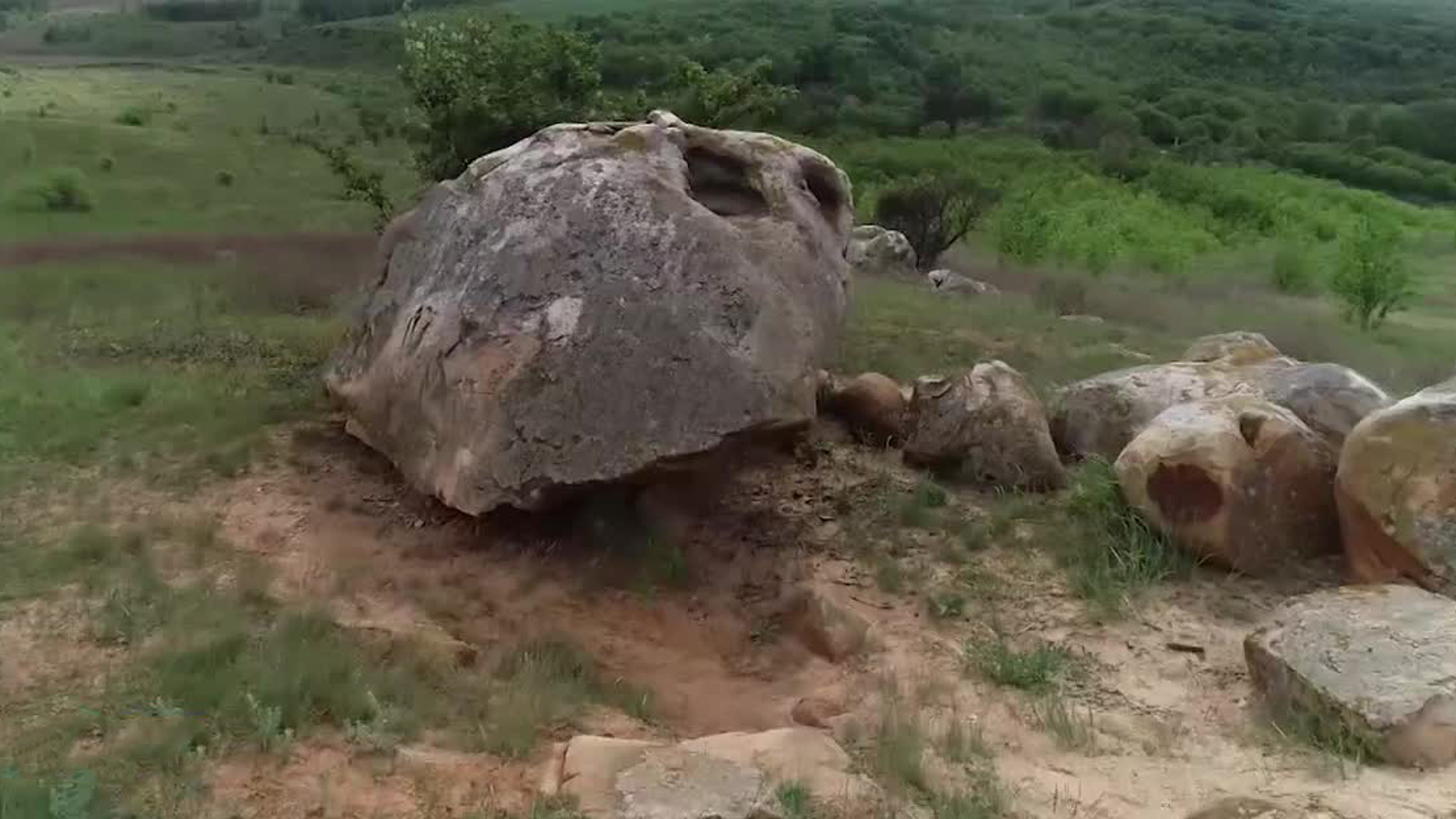 В Липецкой области можно увидеть каменных льва и дельфина