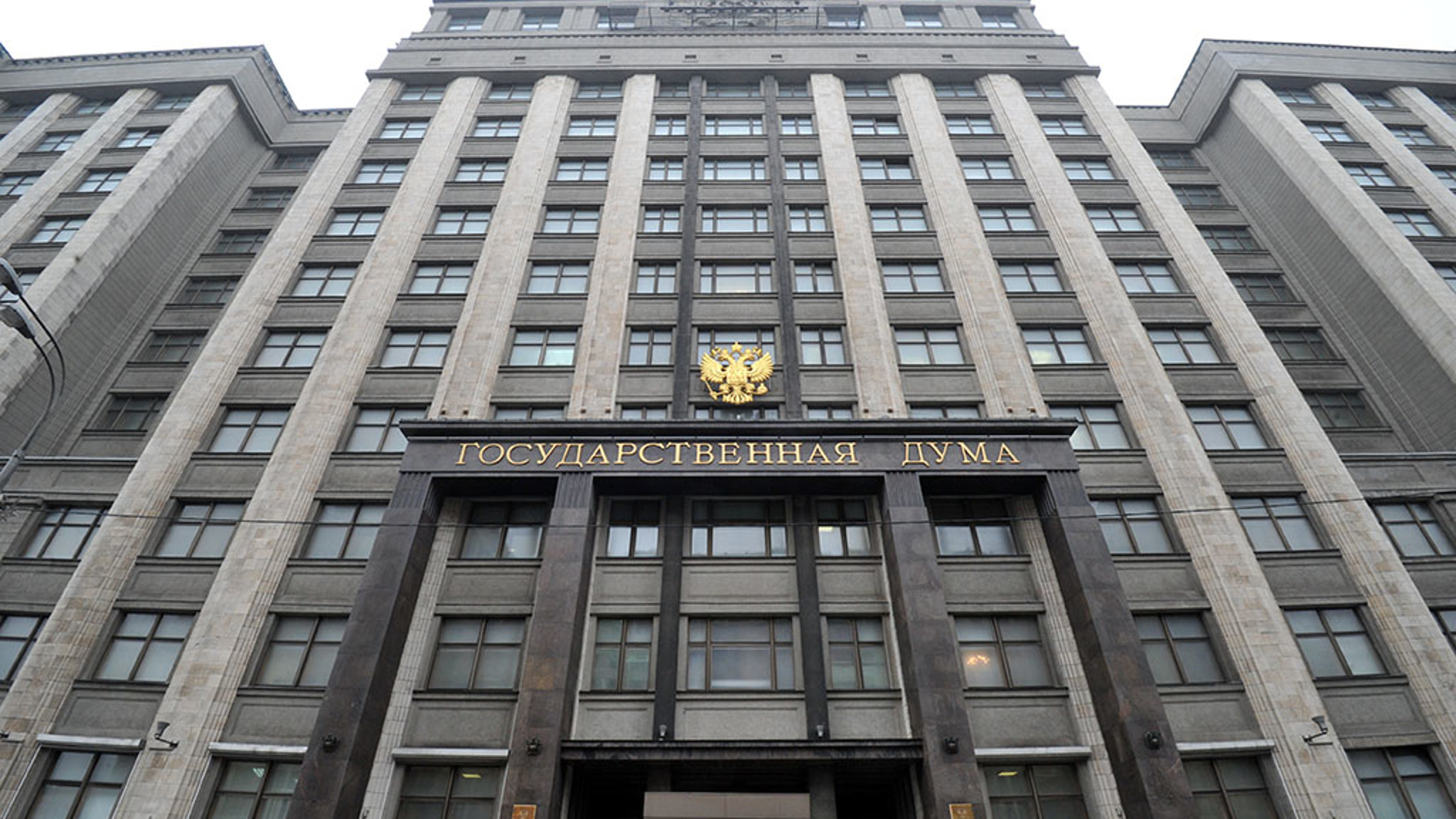 В Думу внесли законопроект о запрете продажи животных в зоомагазинах и на птичьих рынках