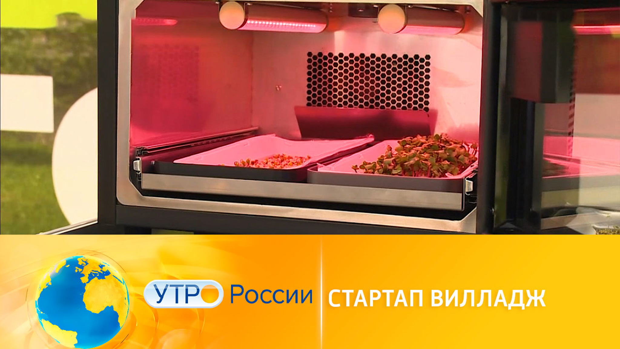 Startup Village-2021: самая крупная конференция в России и странах СНГ
