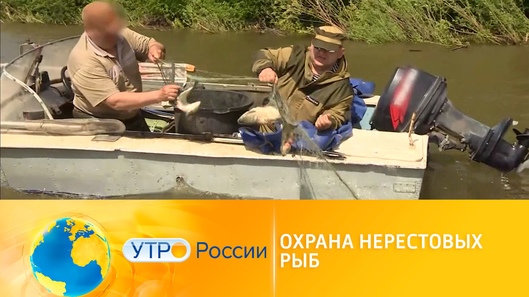 Как рыбачить по закону