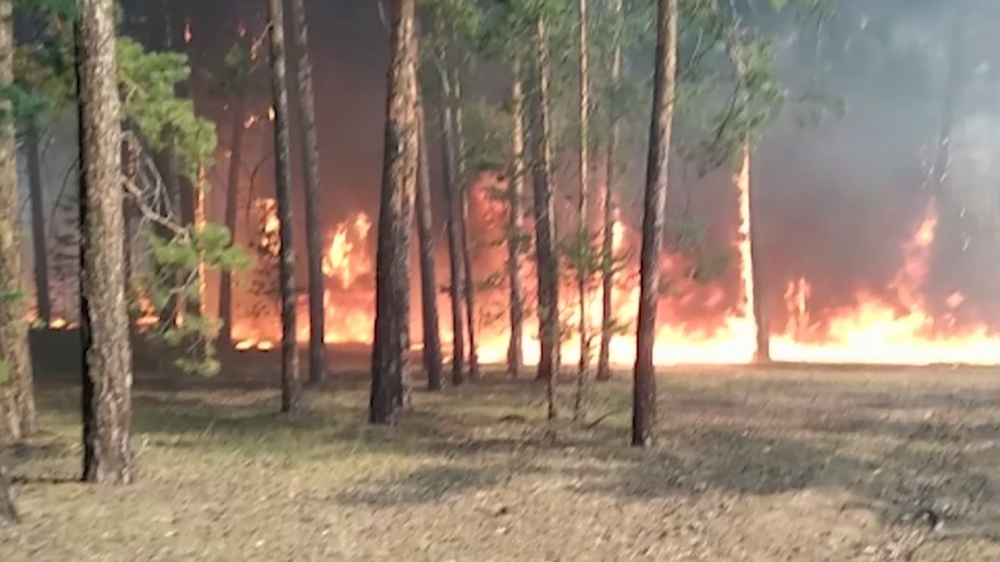 На Алтае зафиксирован первый крупный лесной пожар