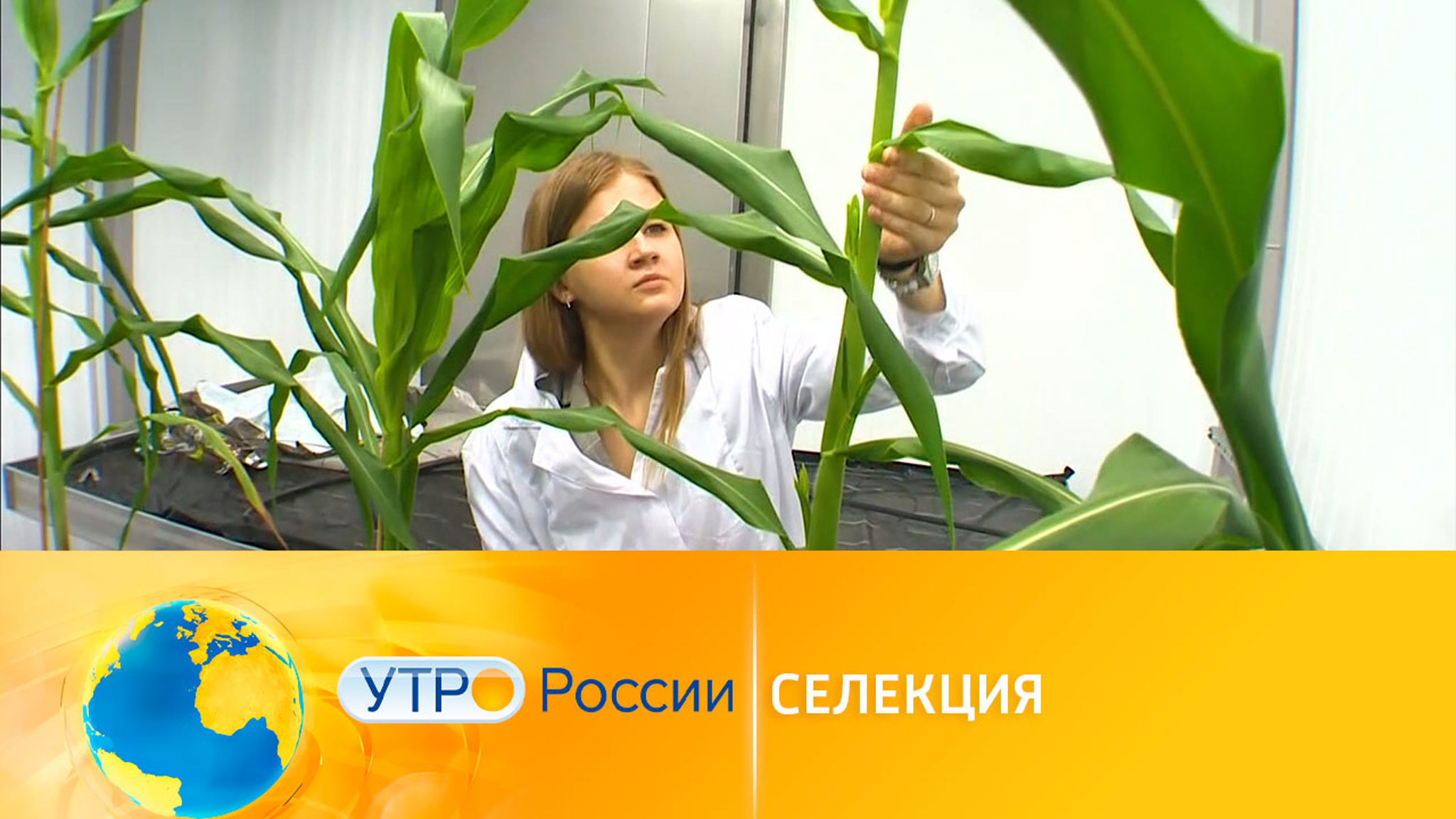 Новые методики селекции растений