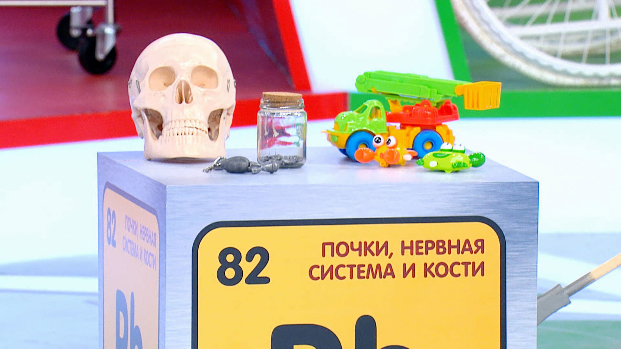 Мясников рассказал, как рис, грибы и игрушки могут нам навредить