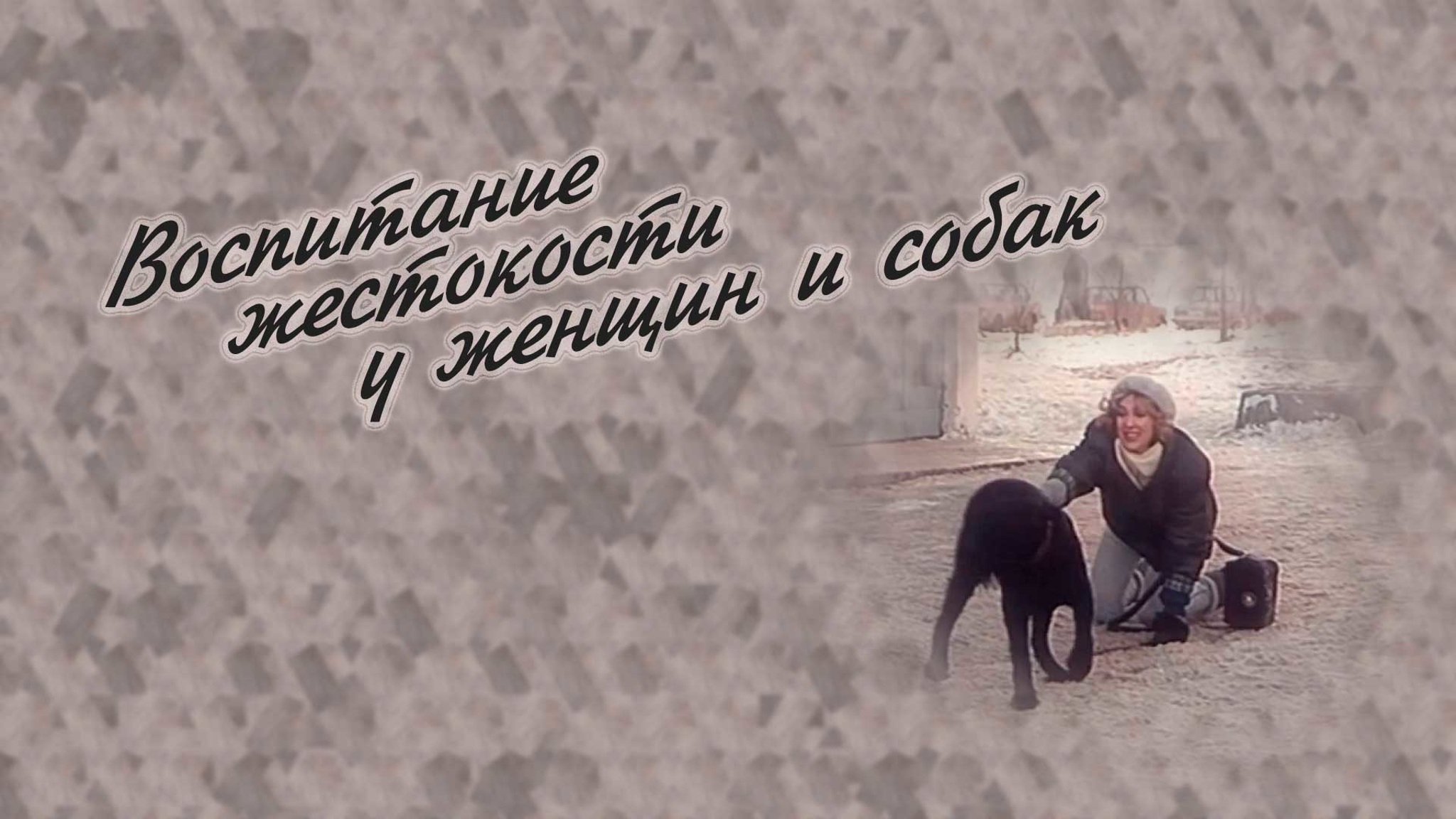 Воспитание жестокости у женщин и собак