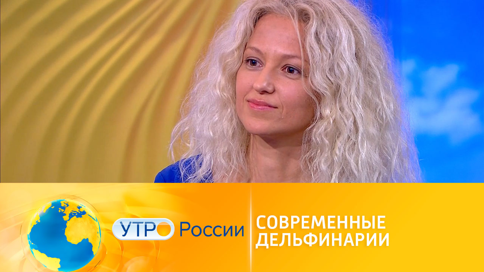 Развлечение или варварство? Все о современных дельфинариях