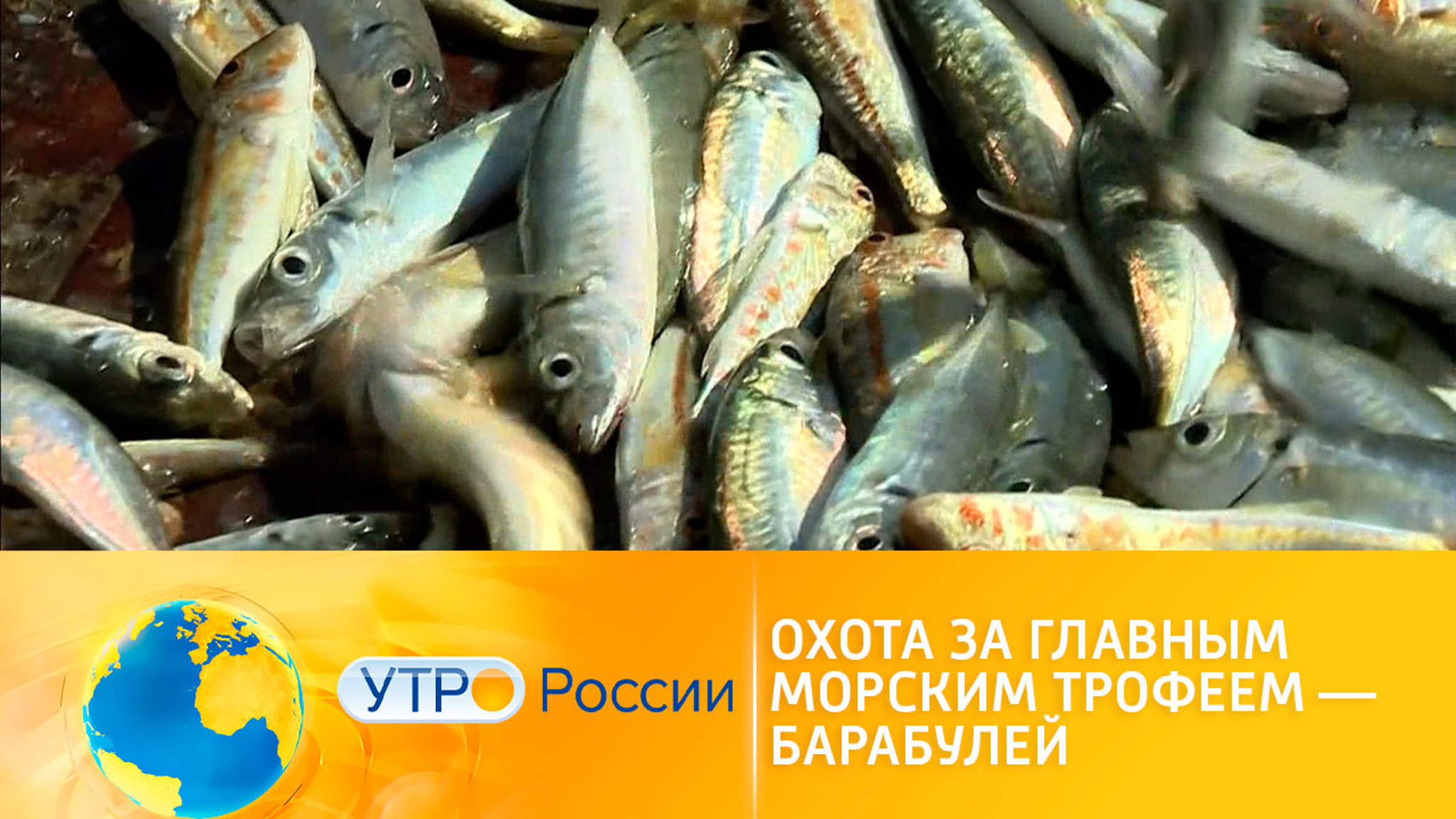 Барабулька – черноморский деликатес