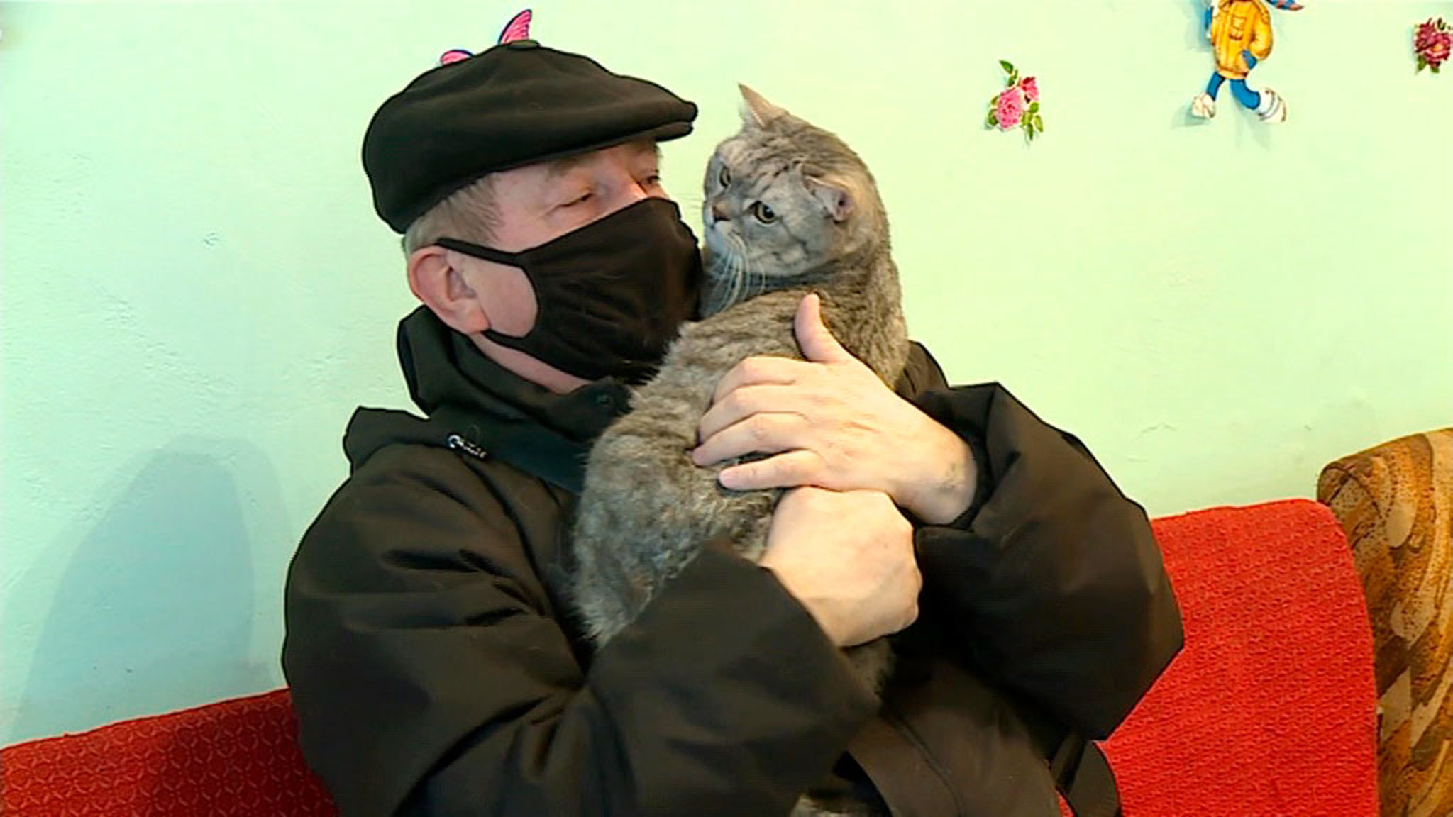 Домашних питомцев проверят на ковид и вакцинируют