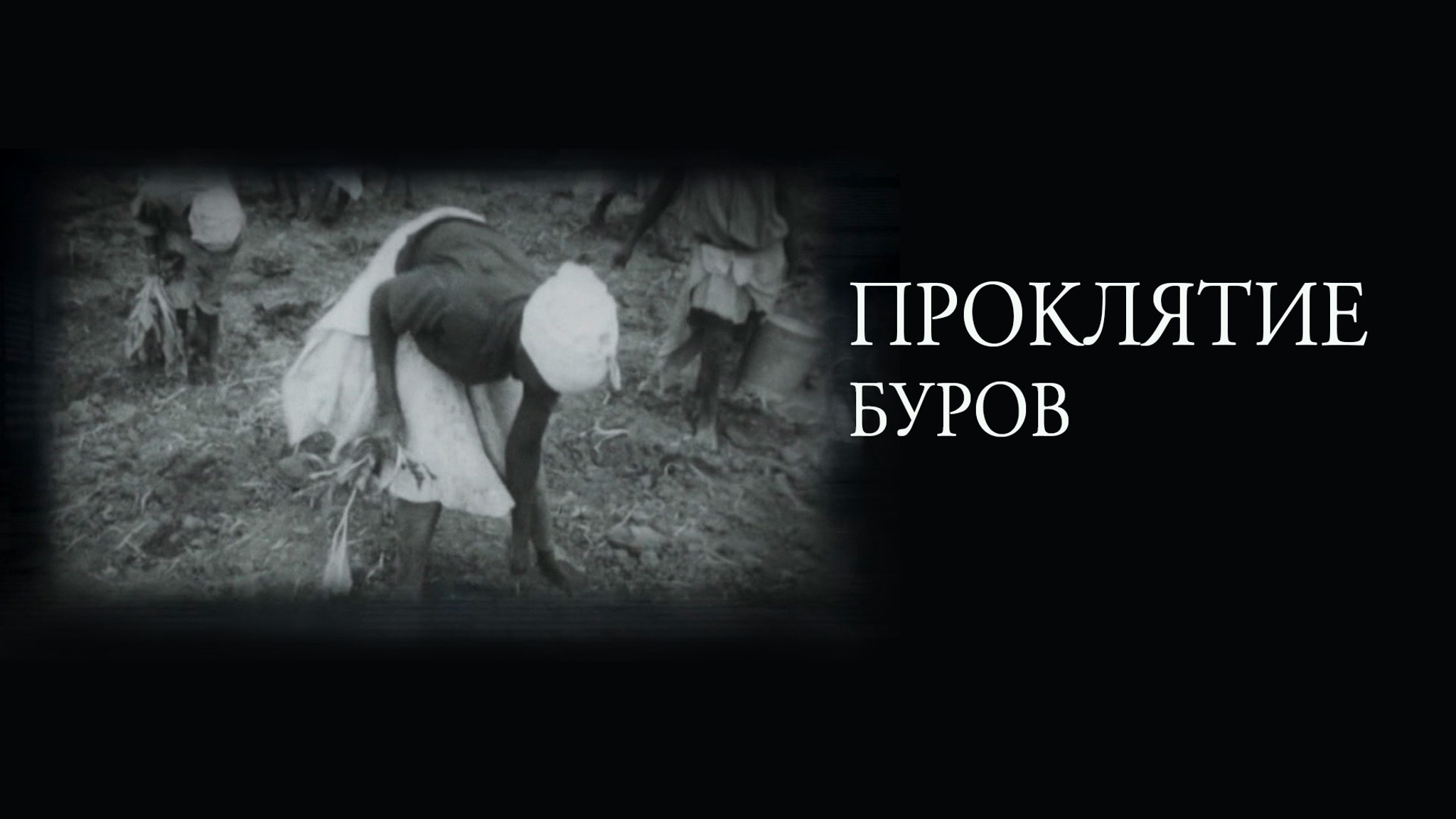 Проклятие буров