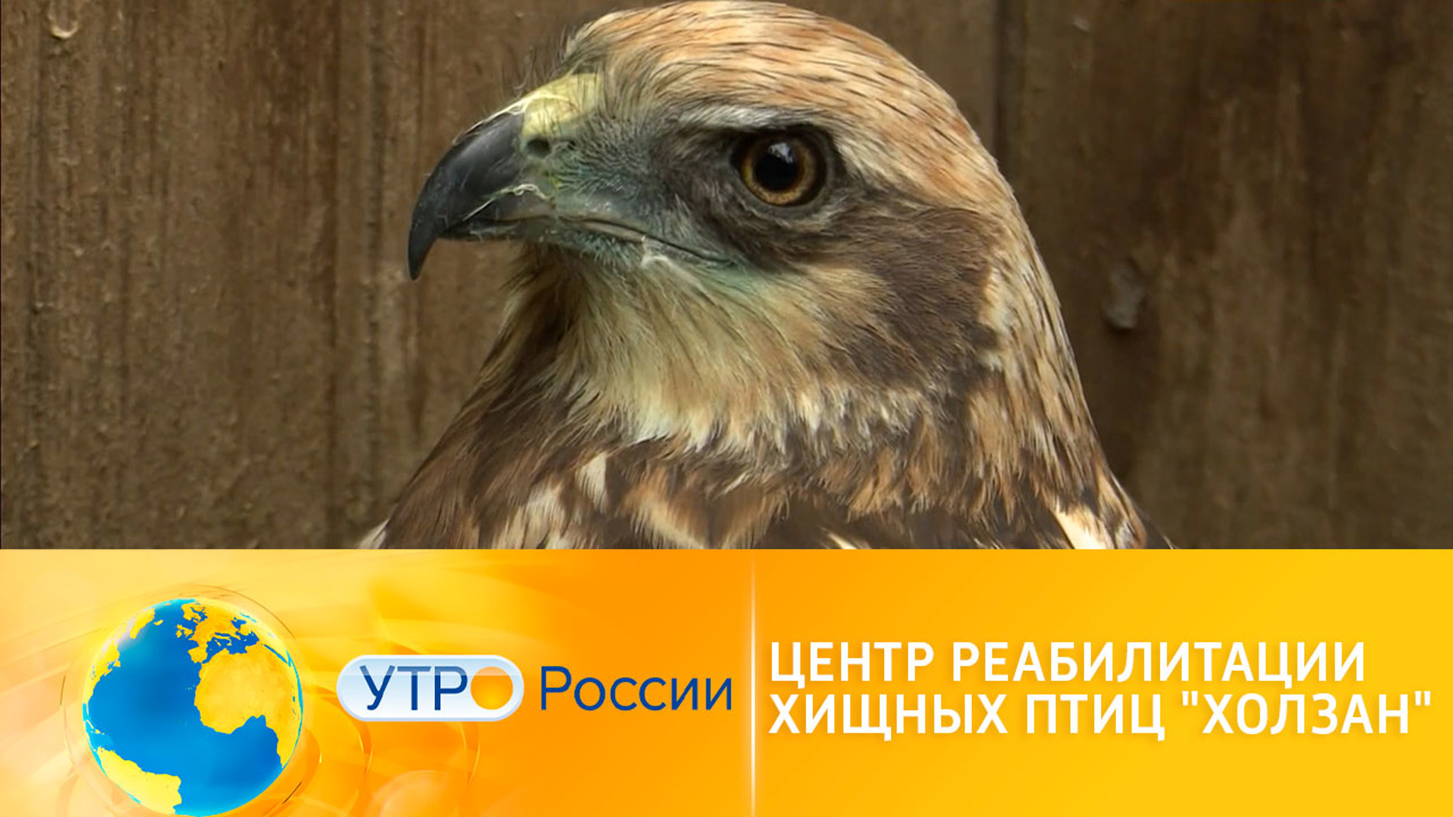 Центр по мониторингу и реабилитации хищных птиц "Холзан"