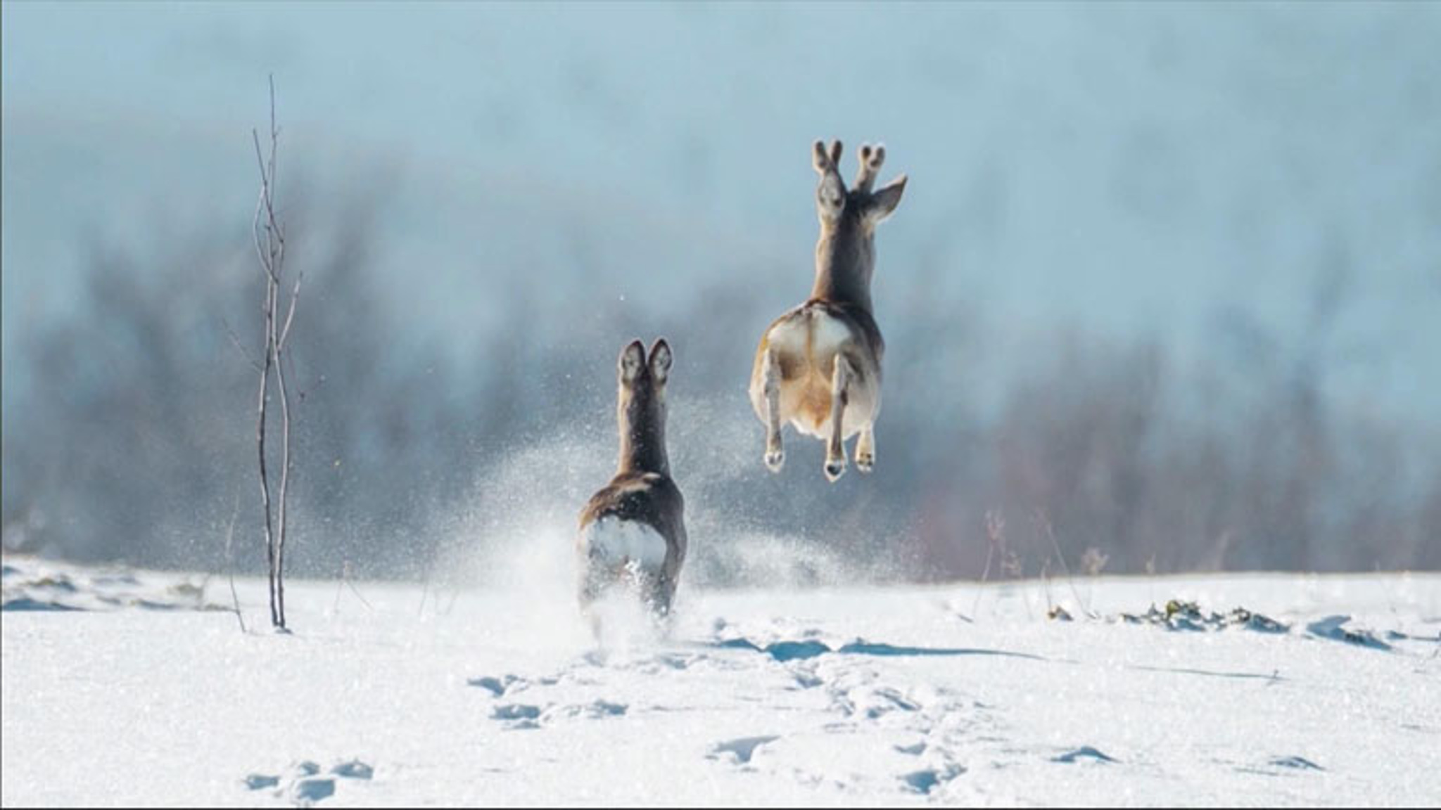 Подведены итоги фотоконкурса “Самая красивая страна”