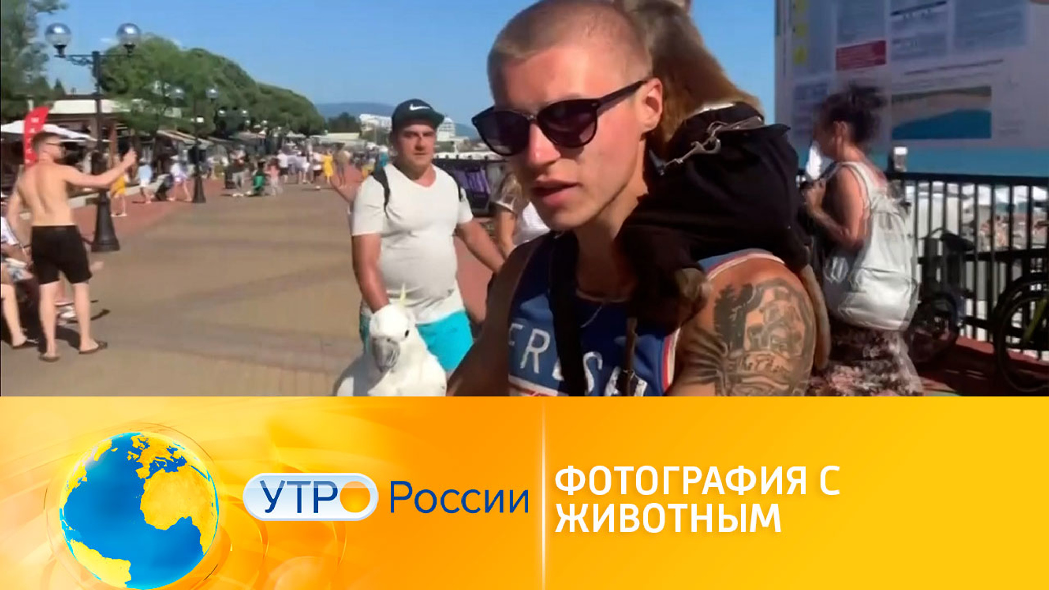 Фото с обезьянкой: как не стать жертвой прибыльного бизнеса