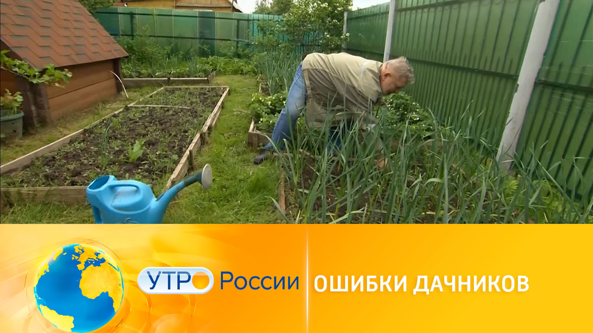 Досадные ошибки начинающих дачников