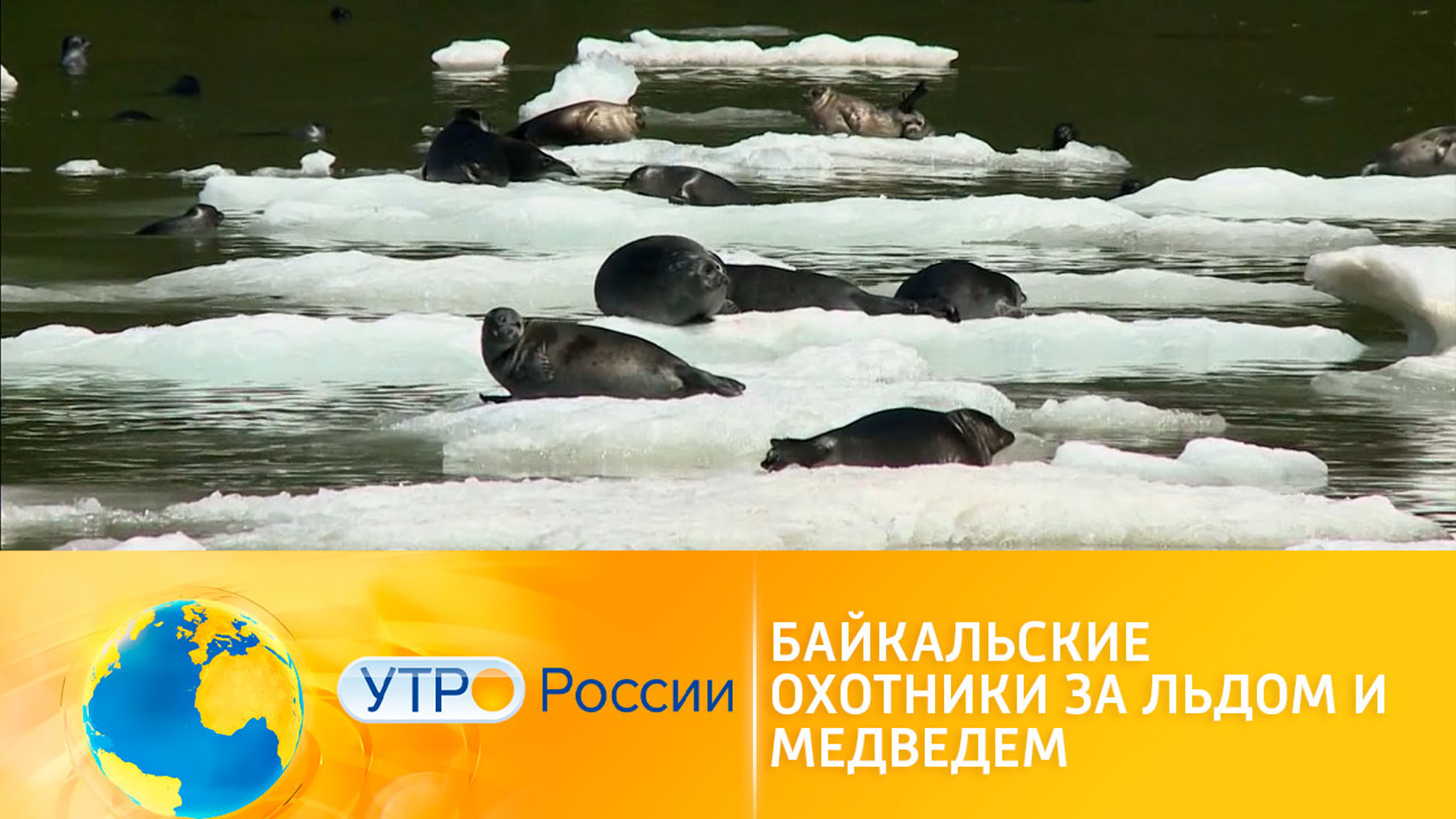 Экспедиция "За уходящим льдом Байкала" завершилась