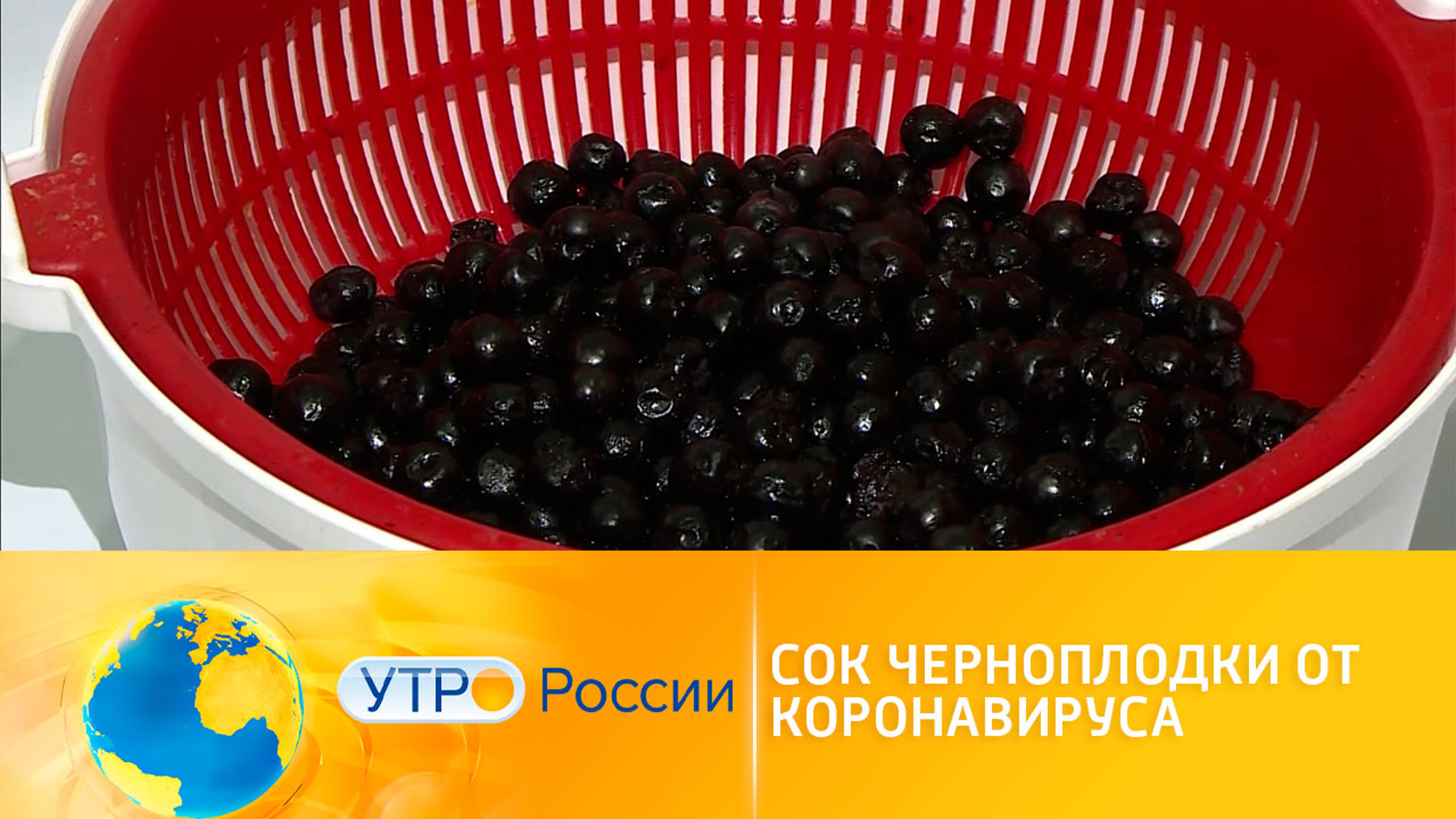 Для профилактики COVID-19 немецкие ученые советуют черноплодку