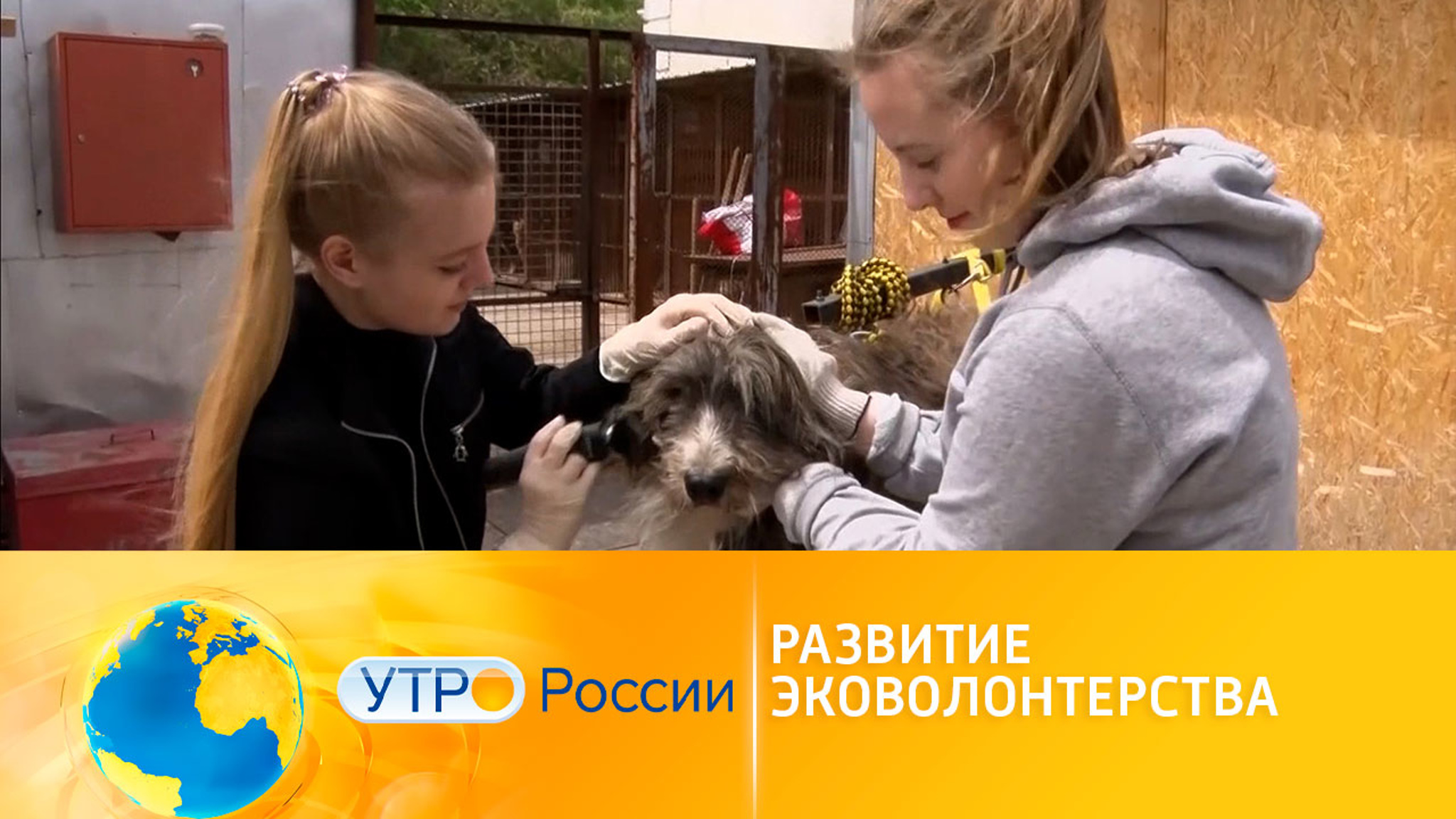 Нацпроект "Экология": развитие эковолонтерства