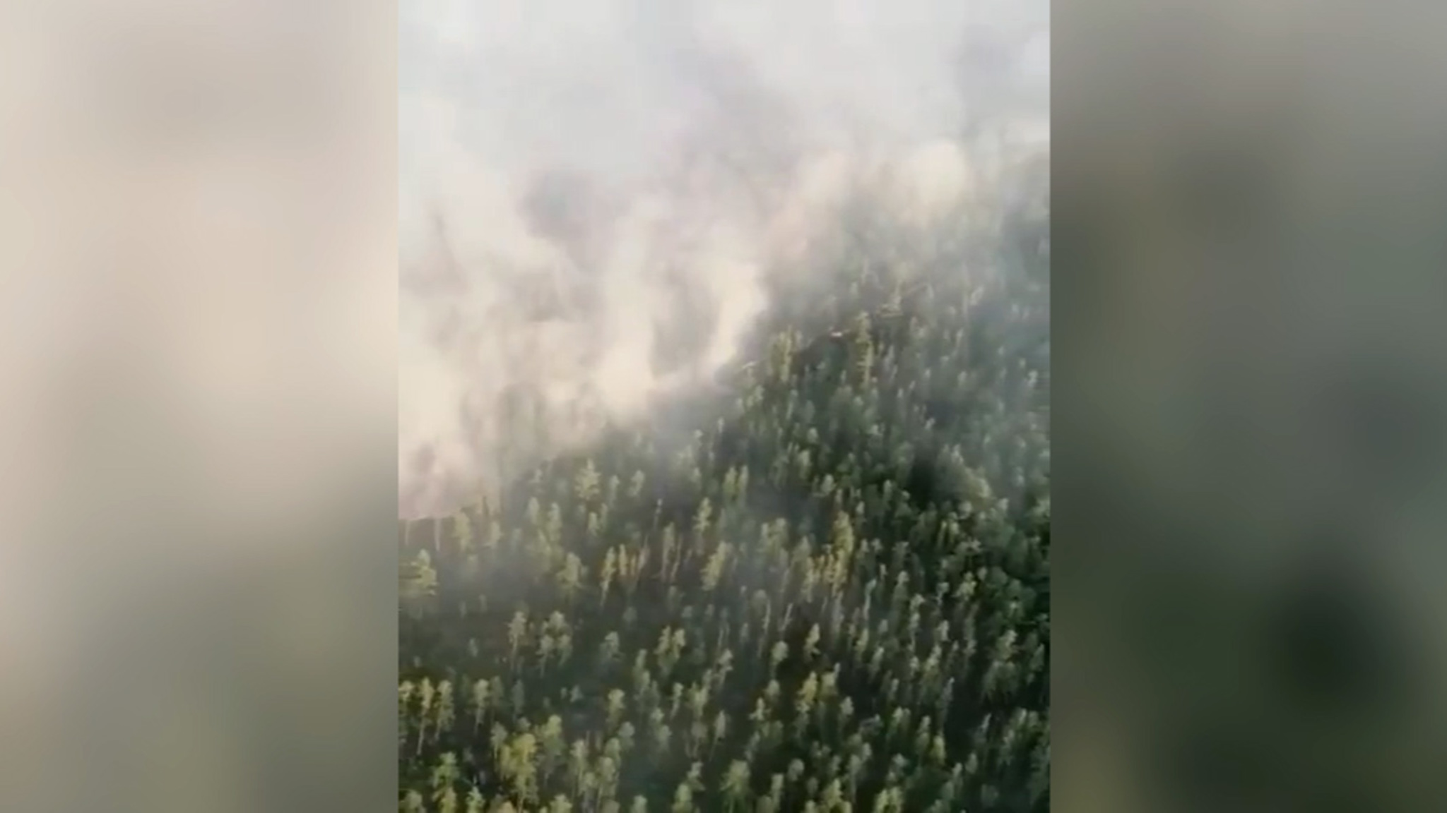 В Зейском районе горит участок гослесфонда