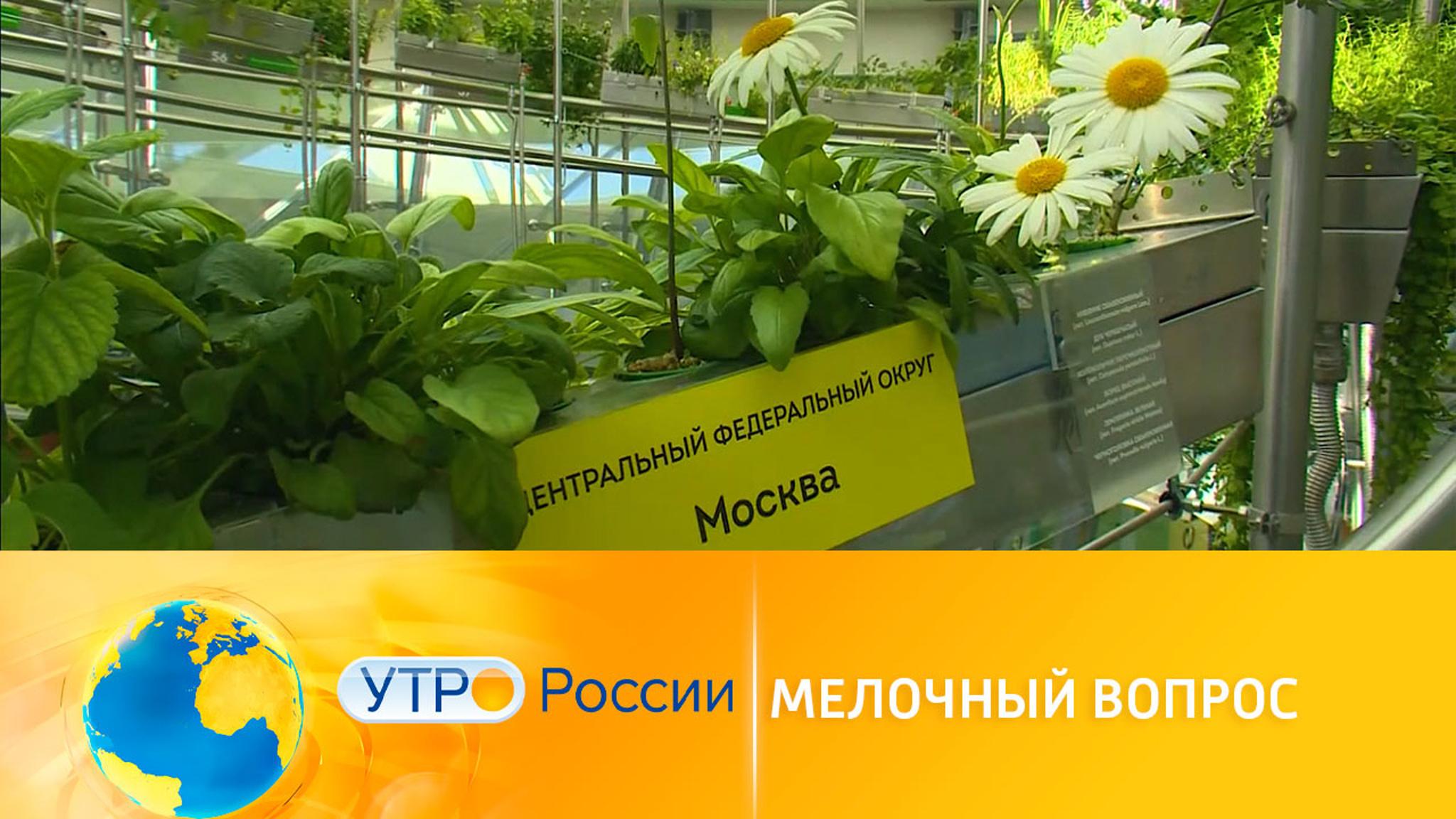 Сад в "Зарядье" разрушил стереотипное представление о флорариуме