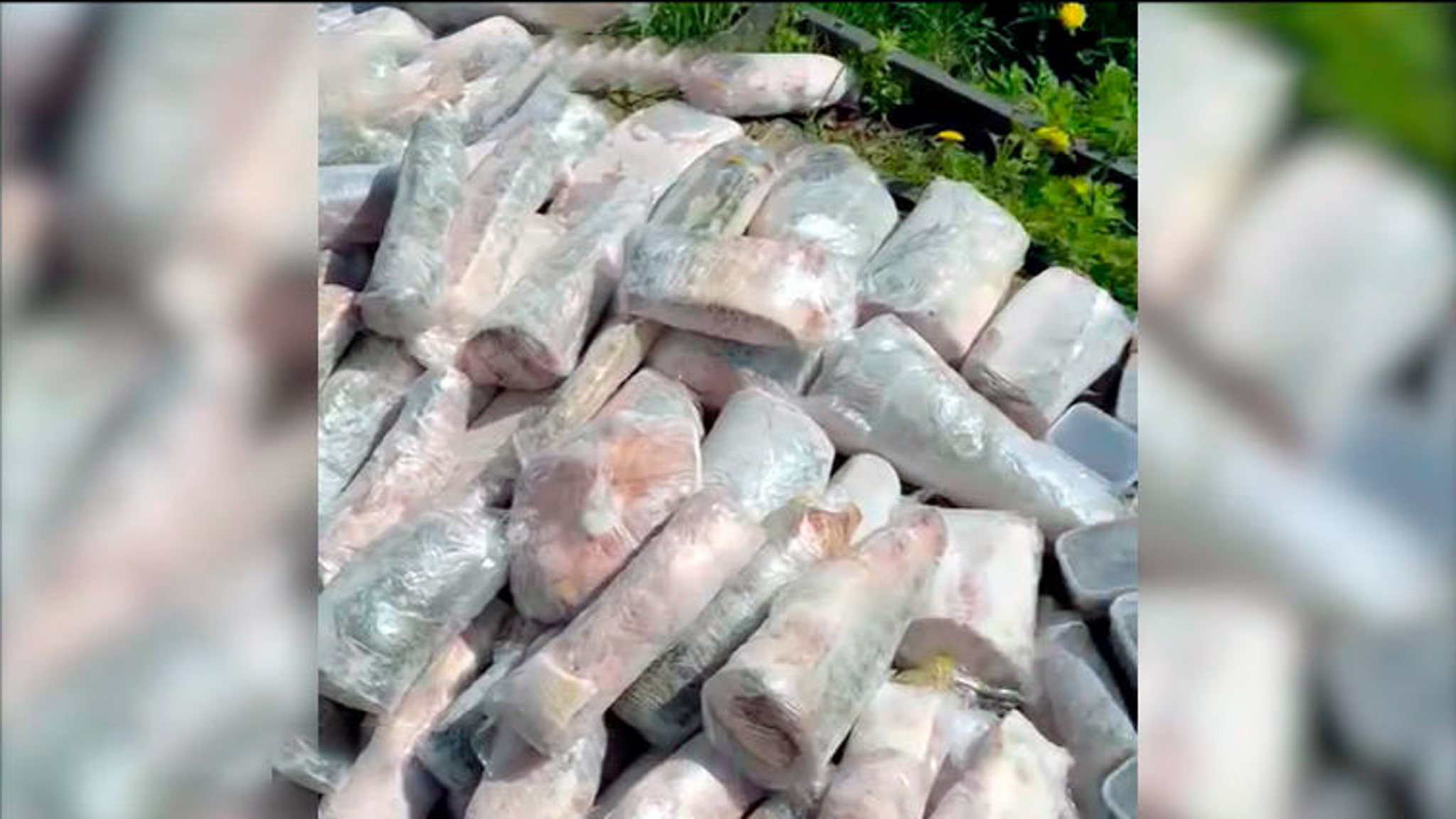 Жителя Комсомольска задержали за незаконную добычу краснокнижного осетра