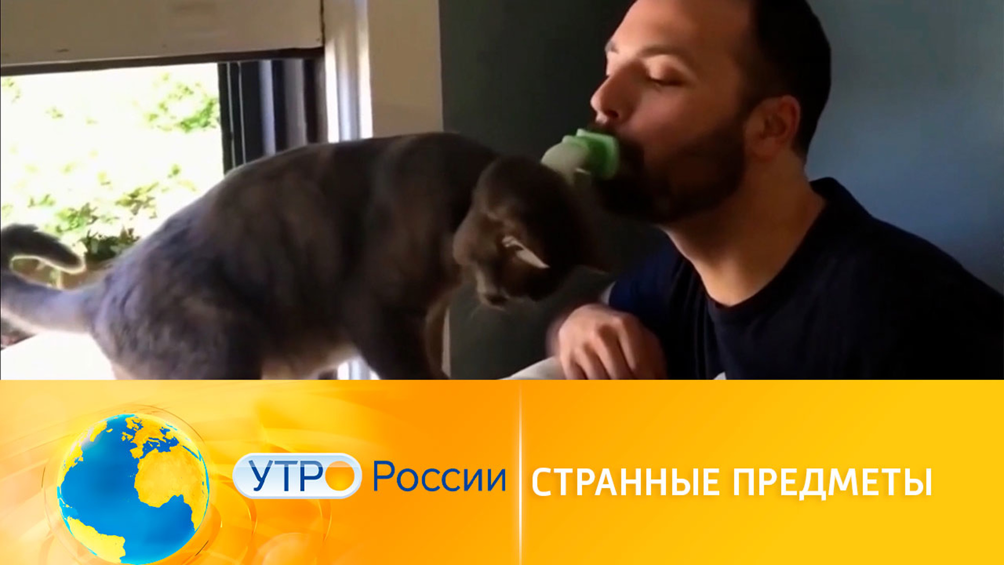 Необычные товары, которые можно купить в интернете