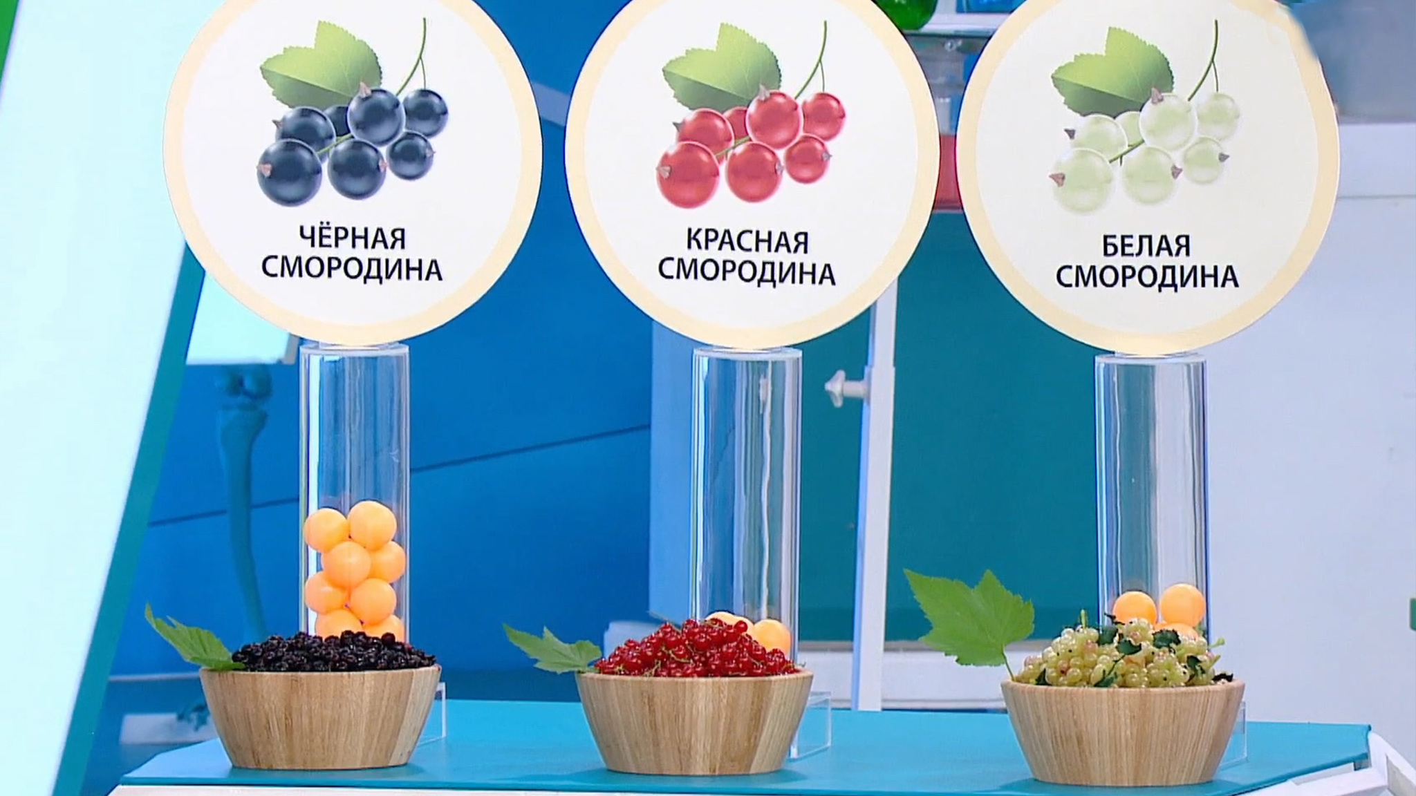 Ягода молодости и красоты: какая смородина наиболее полезна