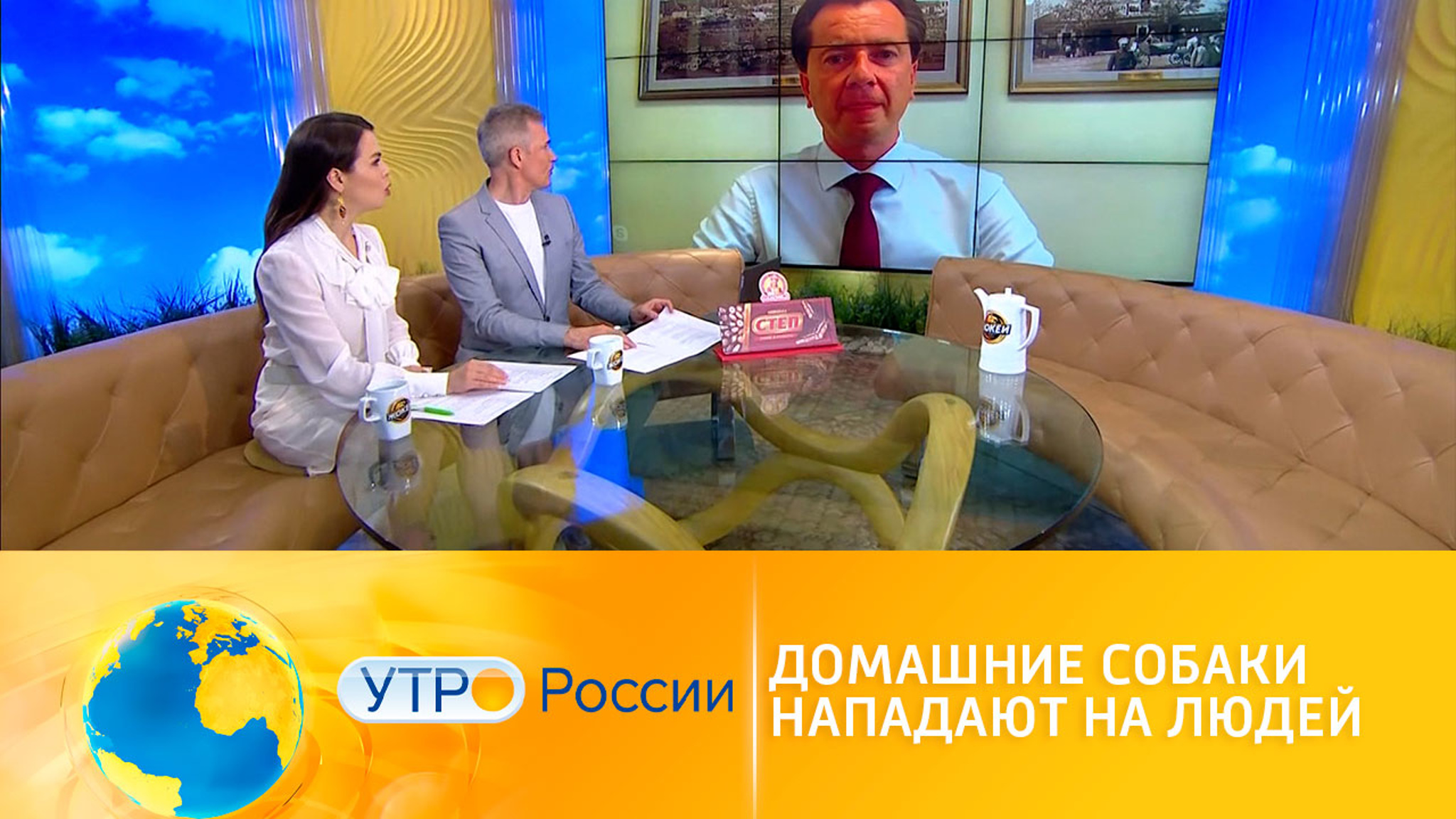 Домашние собаки нападают на людей