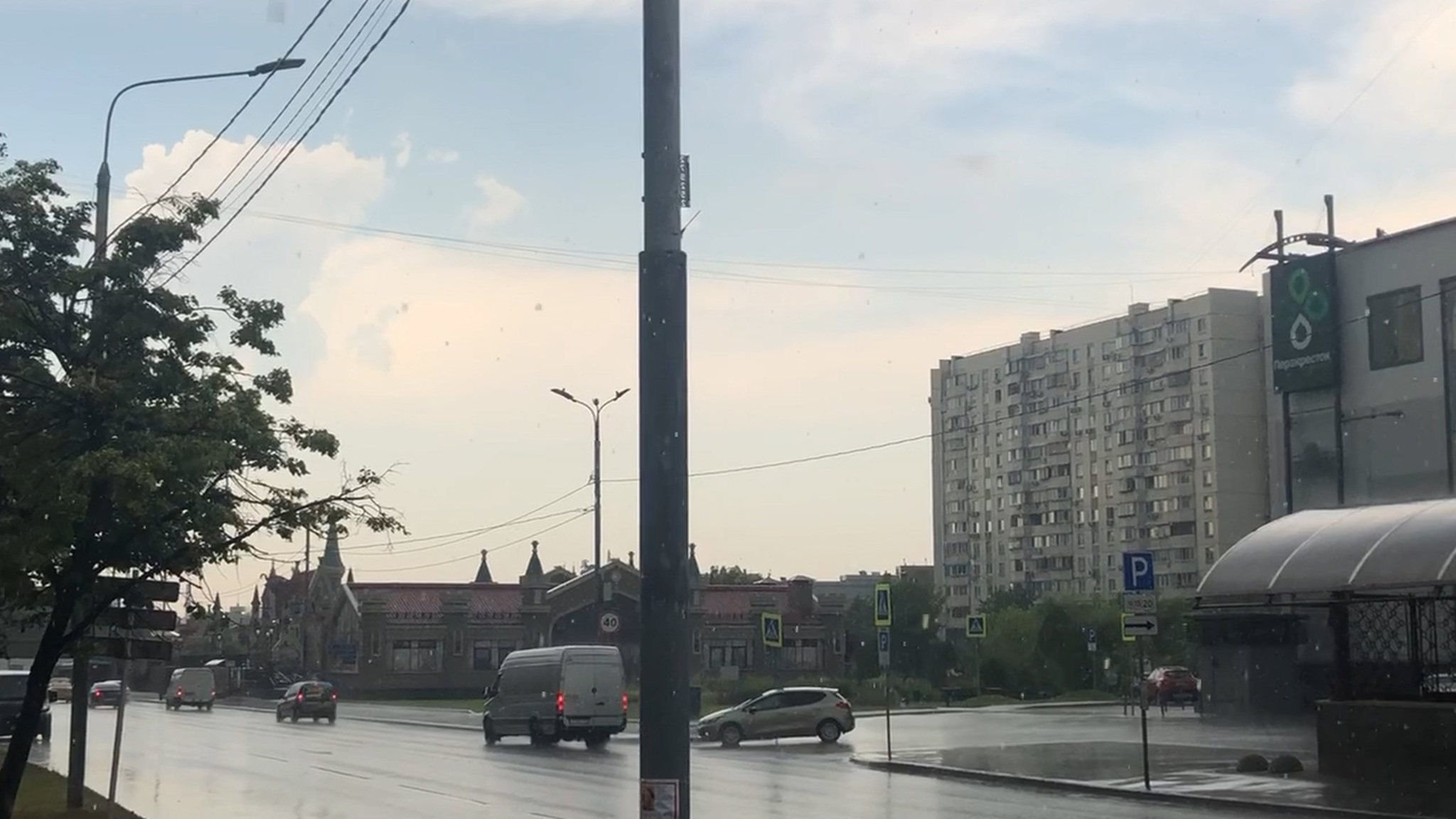 Из-за жары в Петербурге увеличилось число комаров