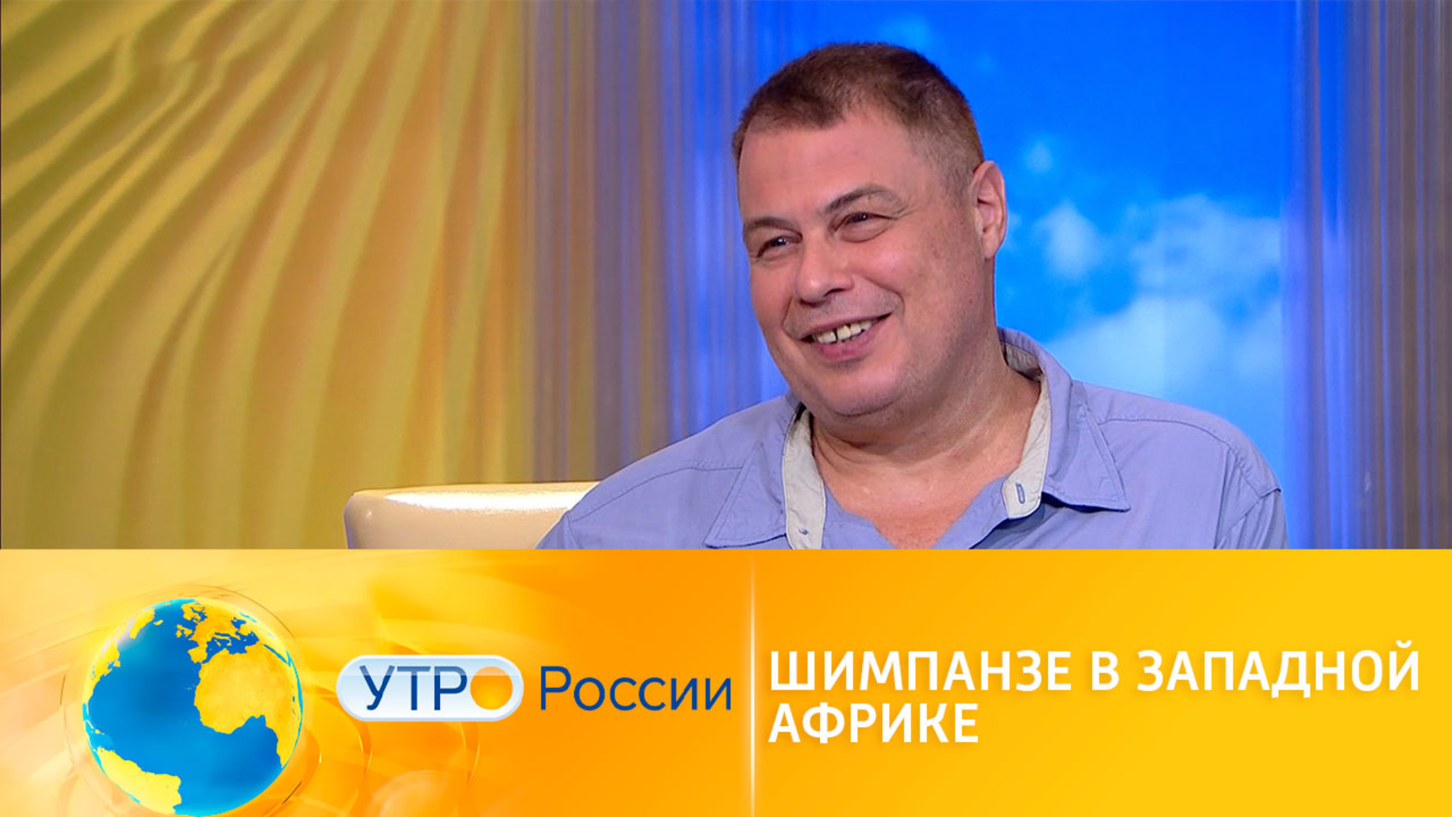 Интересные факты о шимпанзе