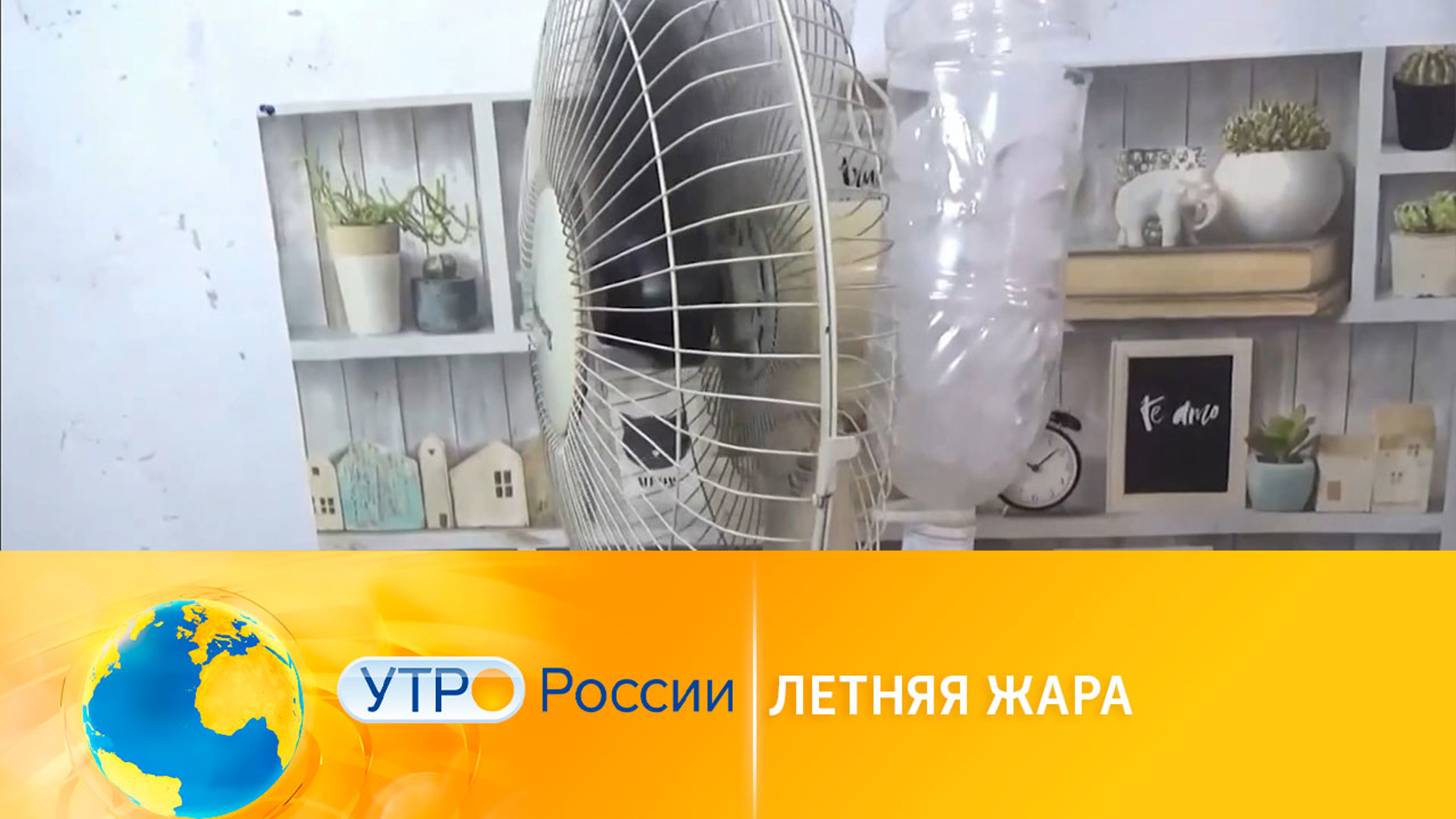 Необычные методы борьбы с летней жарой