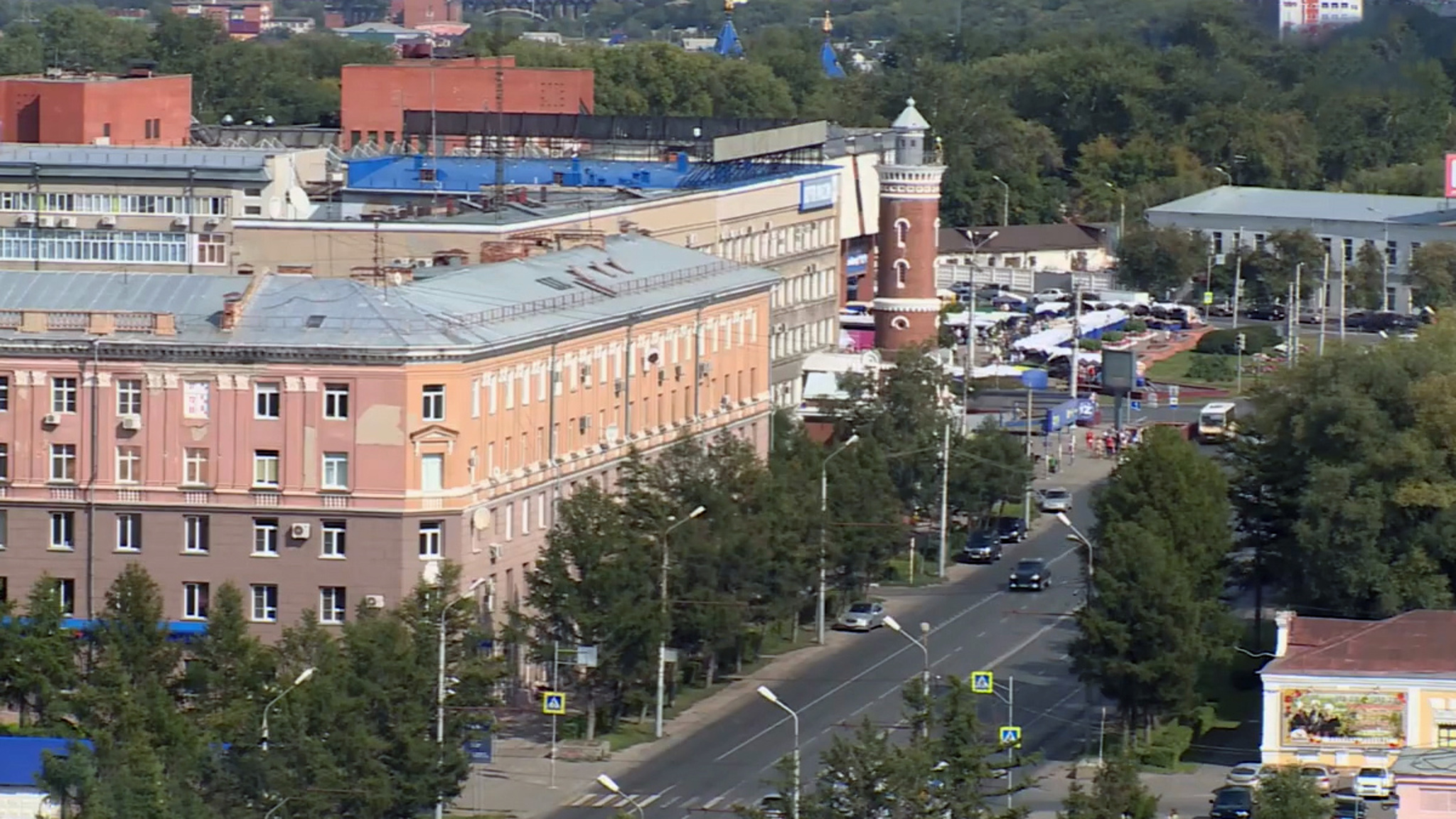 В Нижегородской области "свадебное путешествие" медведей попало на видео