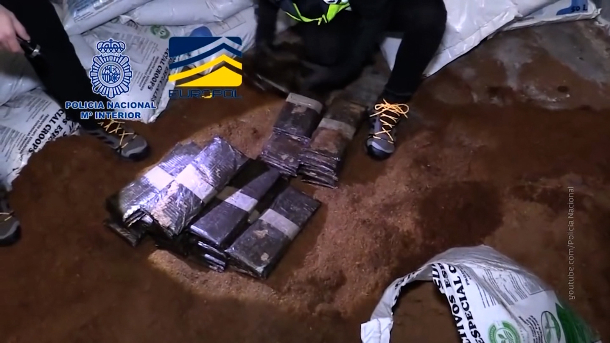 Испанские полицейские задержали британских яхтсменов, перевозивших крупную партию кокаина