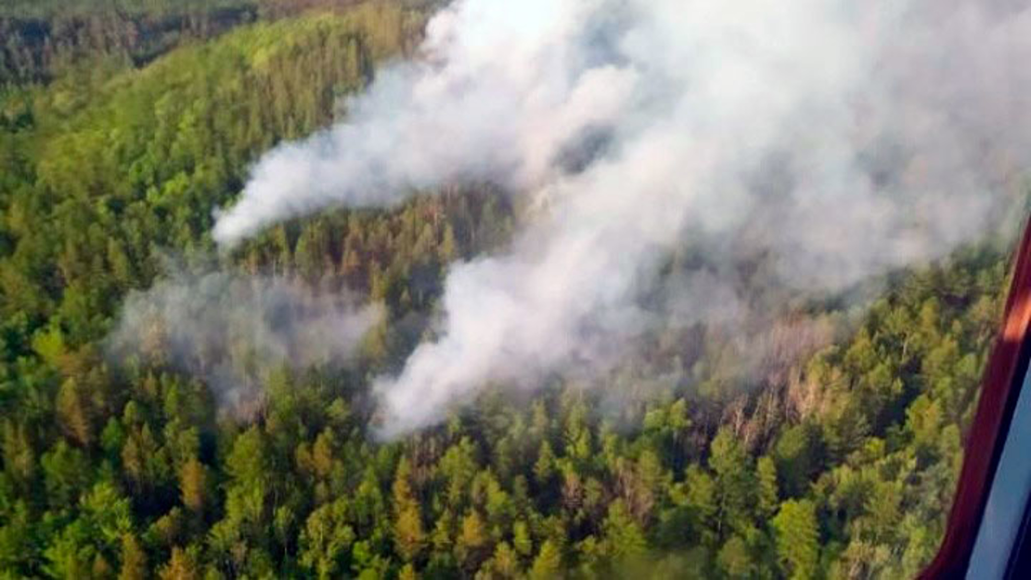 Несколько поселков на Камчатке накрыло дымом от лесных пожаров
